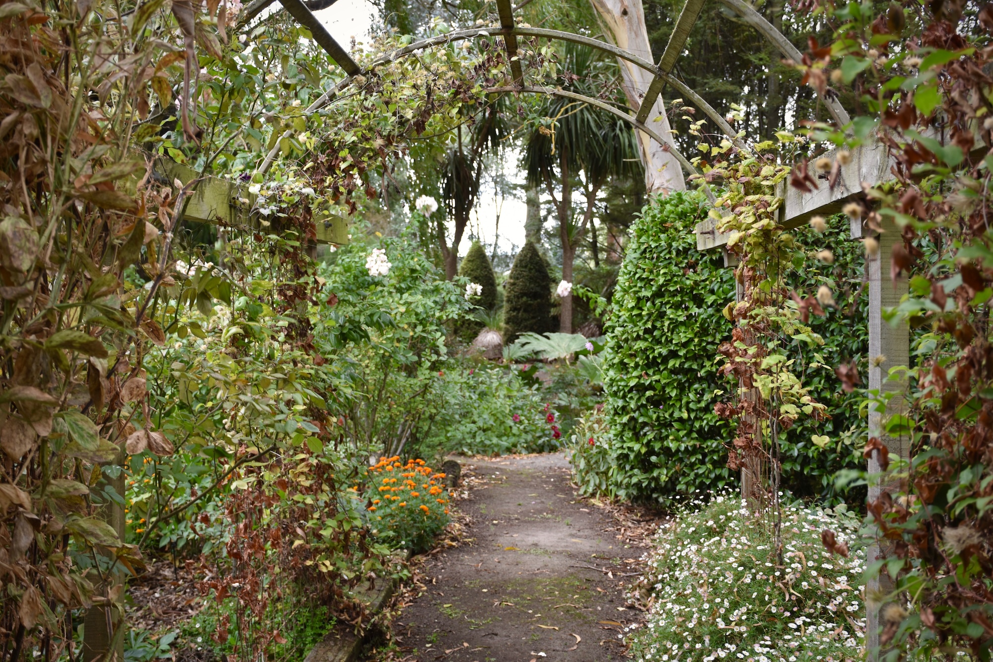 Secret Gardens NZ - Willoughbridge Secret Gardens NZ - Willoughbridge
