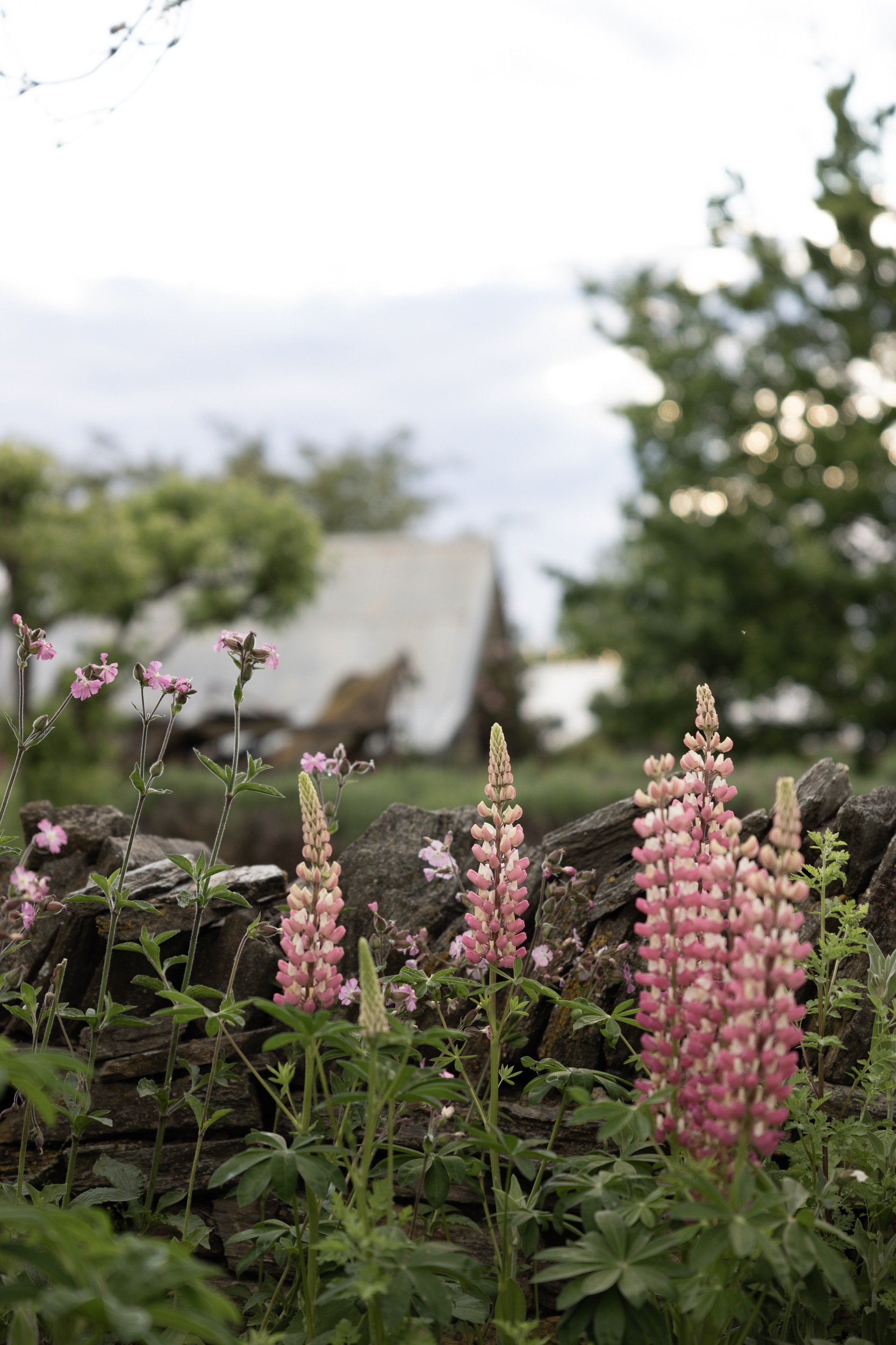 Air BnB, Ryan’s Cottage, Otago NZ