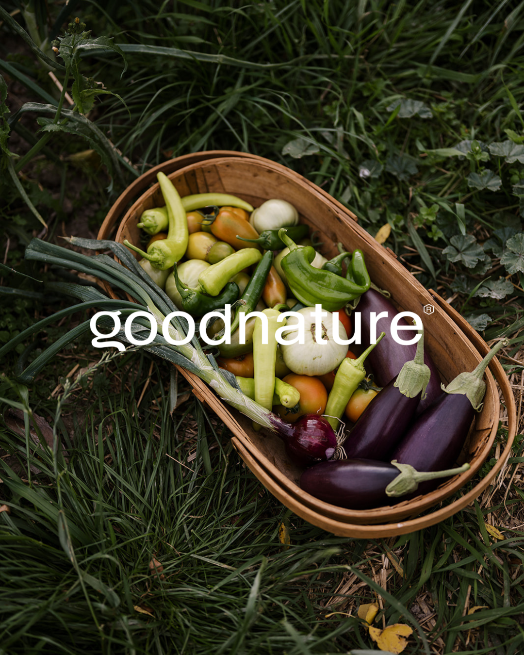 Goodnature Sage Journal