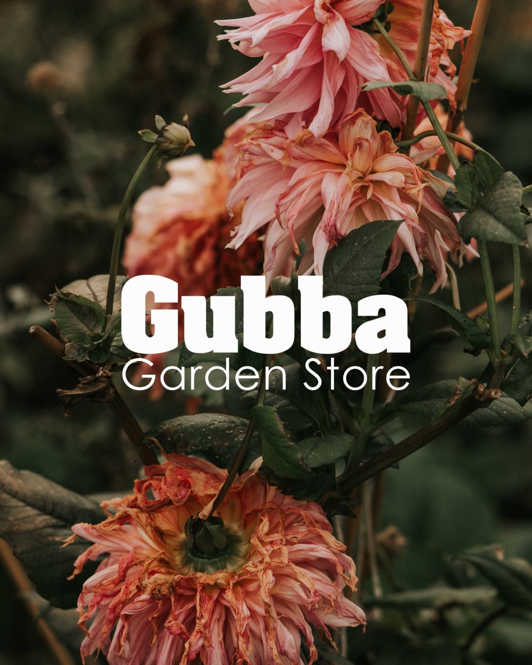 Gubba Garden Sage Journal