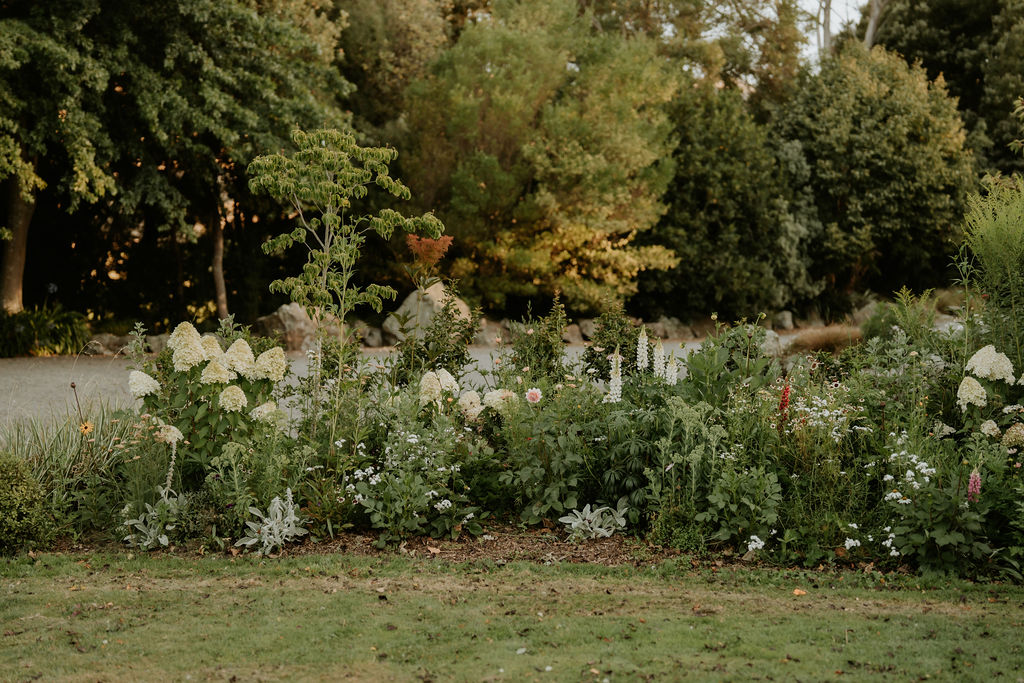 Tyntesfield Blooms - Jo Ensor Tyntesfield Blooms