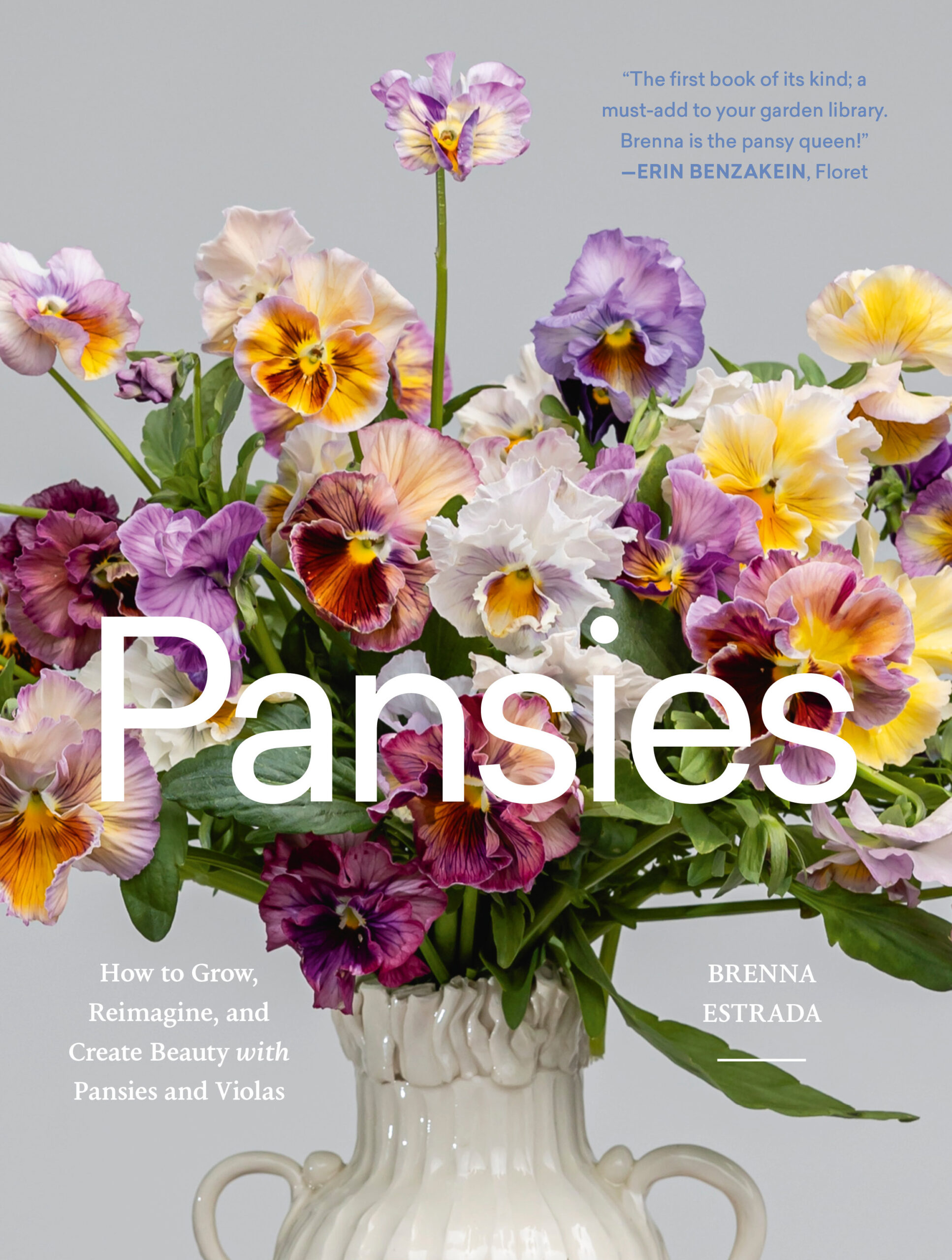 Pansies by Brenna Estrada Pansies by Brenna Estrada