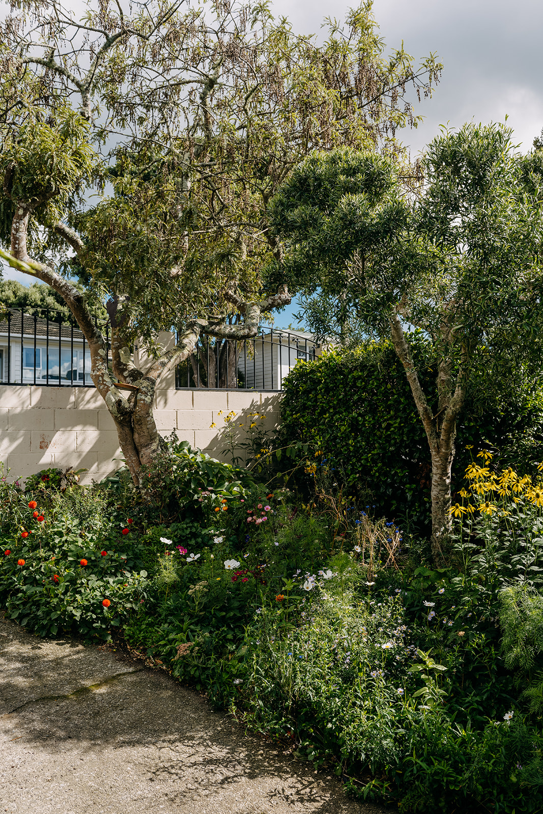 Sage Journal - Tawa garden