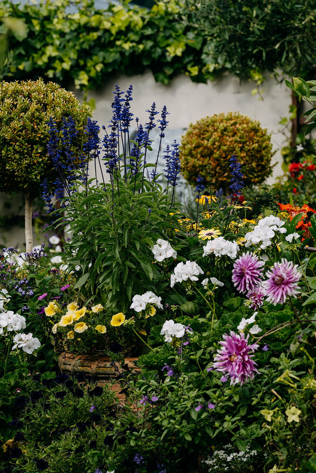Sage Journal - Tawa garden