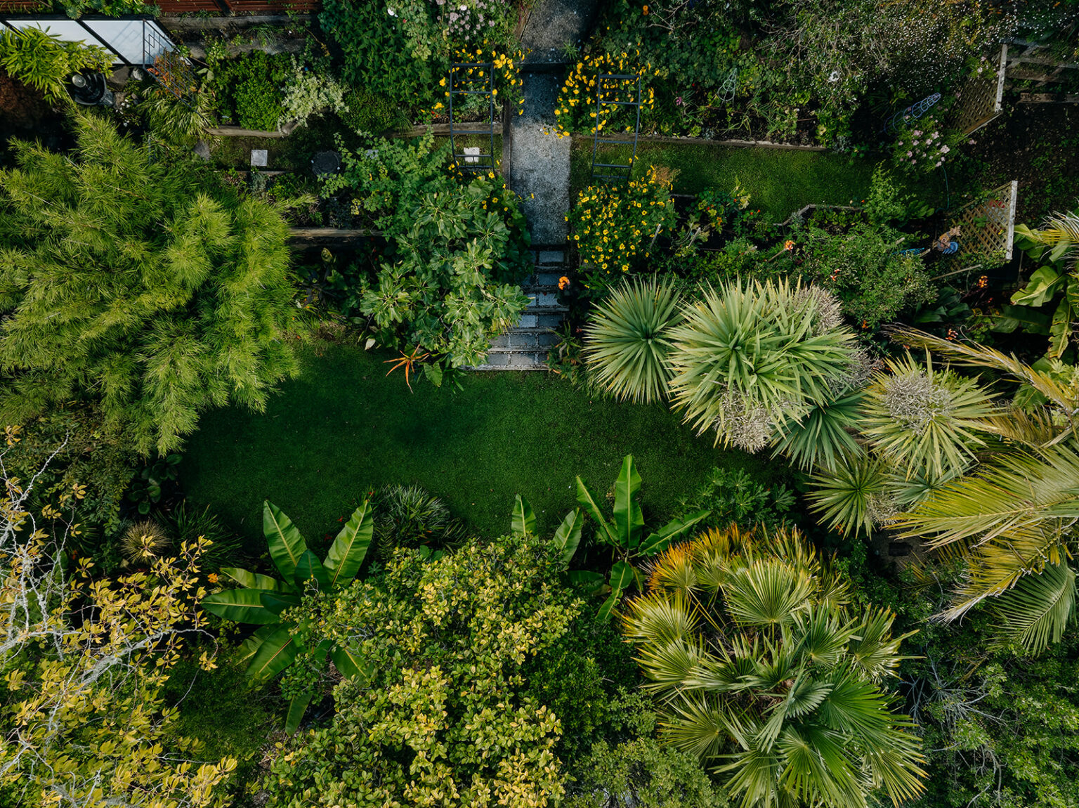 Bringing order to chaos | A professional garden designer's own garden ...
