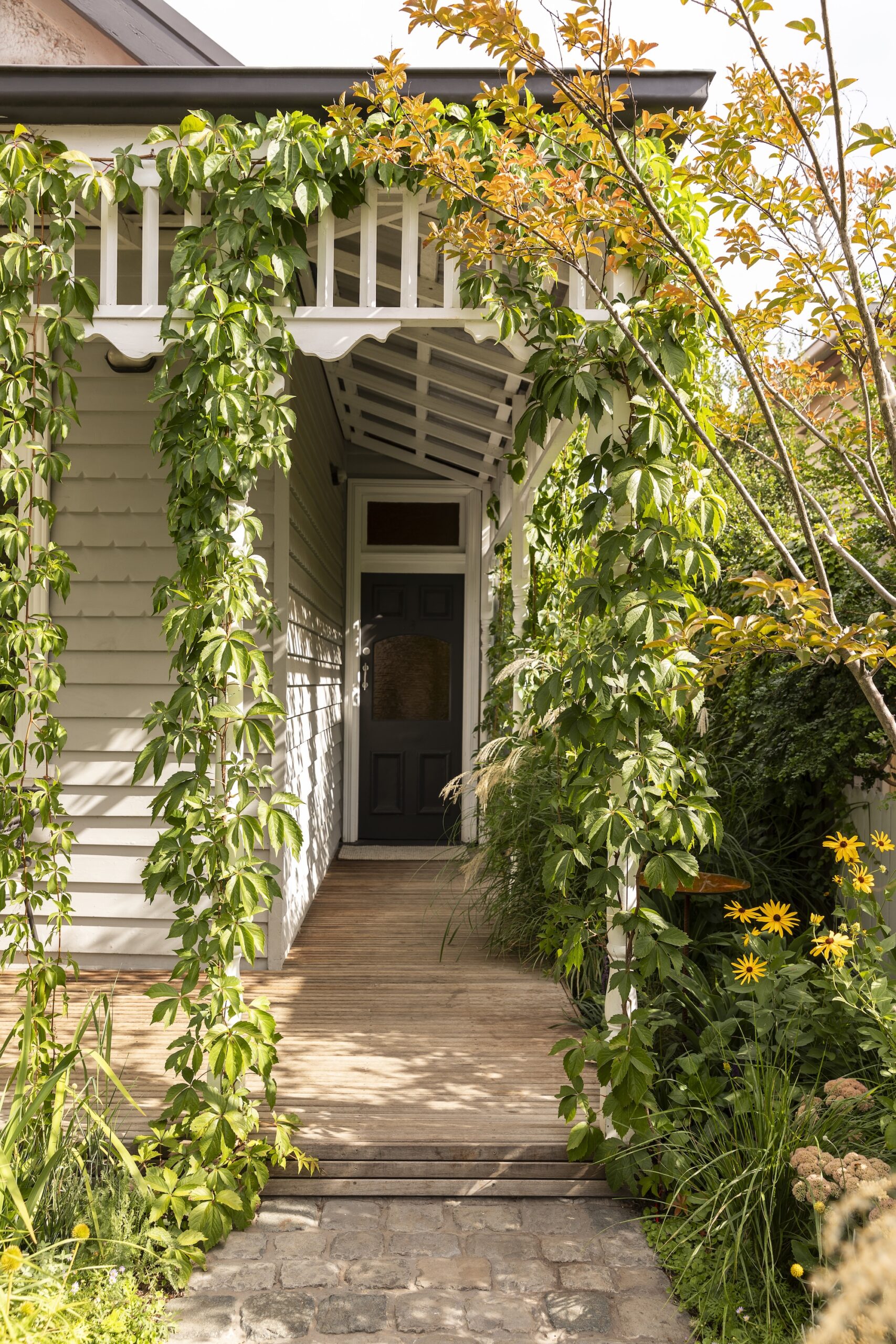 Saint Remy Thornbury Garden Saint Remy Thornbury Garden
