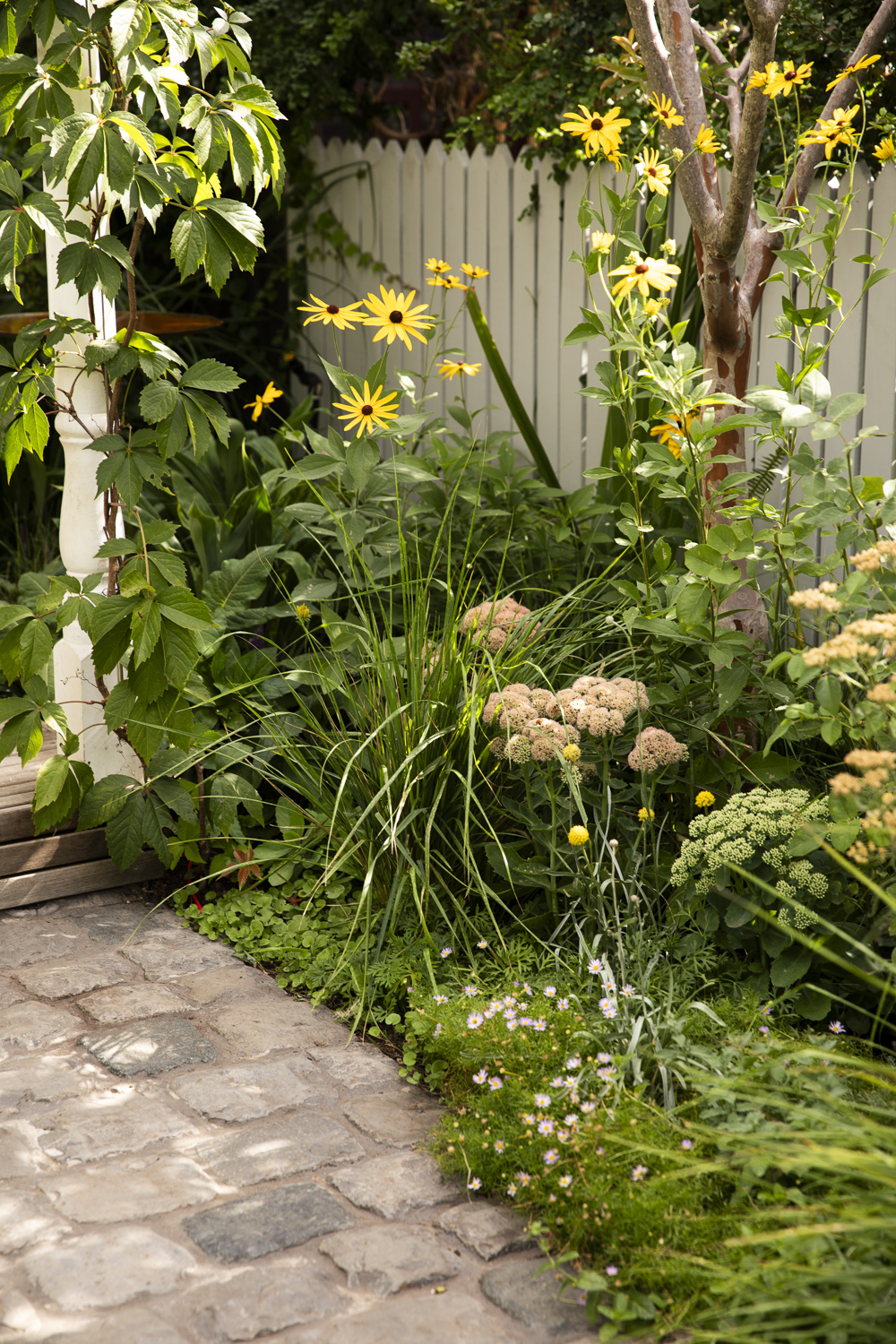 SaintRemy_Thornbury_0250_Gemmola_LR