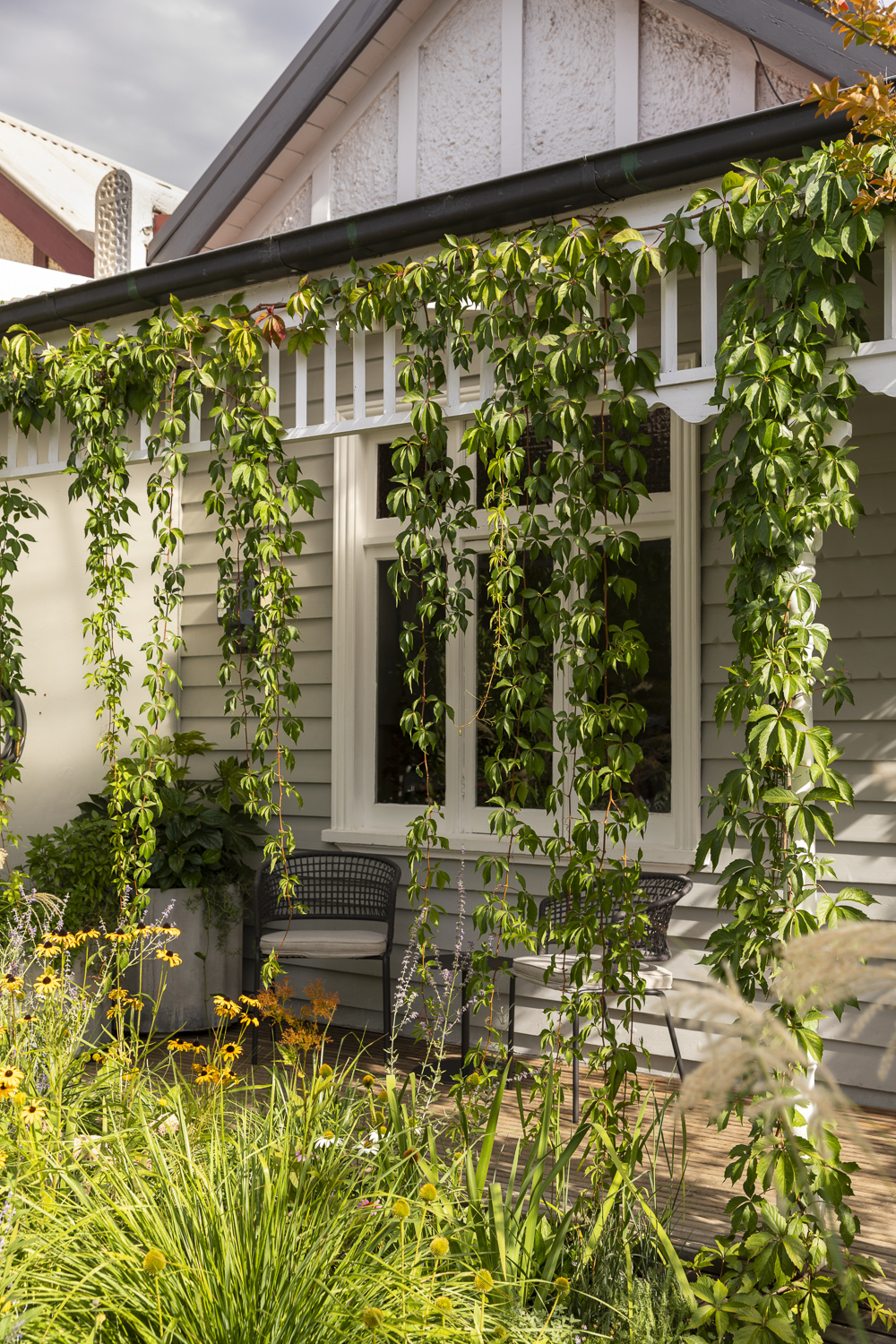 Saint Remy Thornbury Garden Saint Remy Thornbury Garden