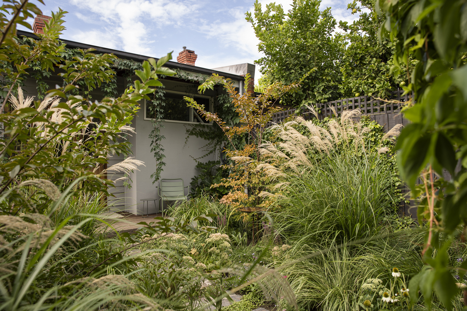 SaintRemy_Thornbury_0278_Gemmola_LR