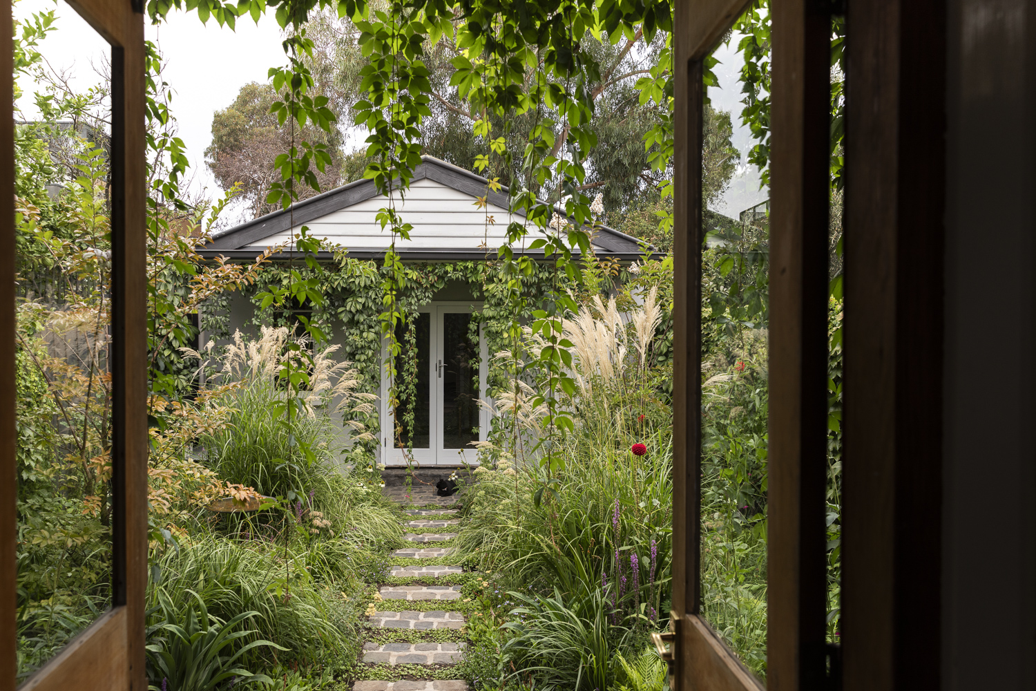 Saint Remy Thornbury Garden Saint Remy Thornbury Garden