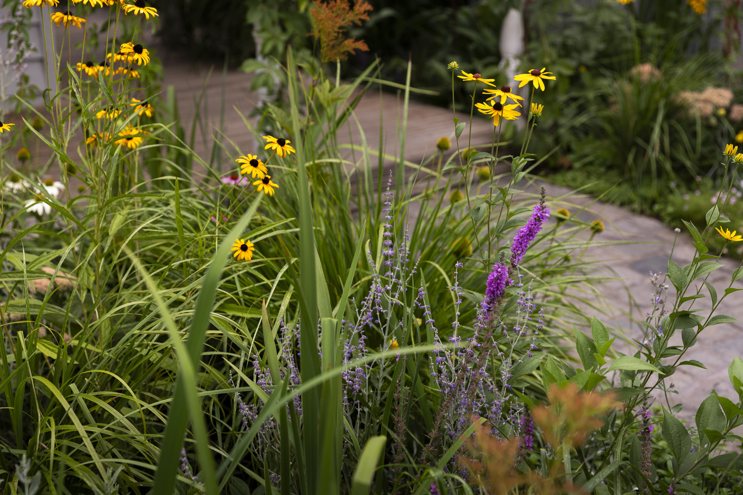 Saint Remy Thornbury Garden Saint Remy Thornbury Garden
