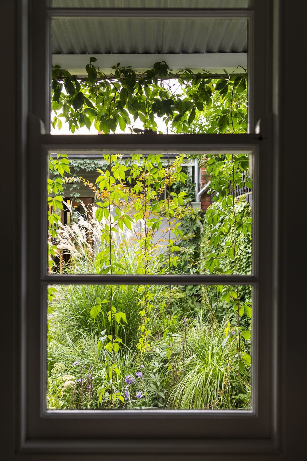 Saint Remy Thornbury Garden Saint Remy Thornbury Garden