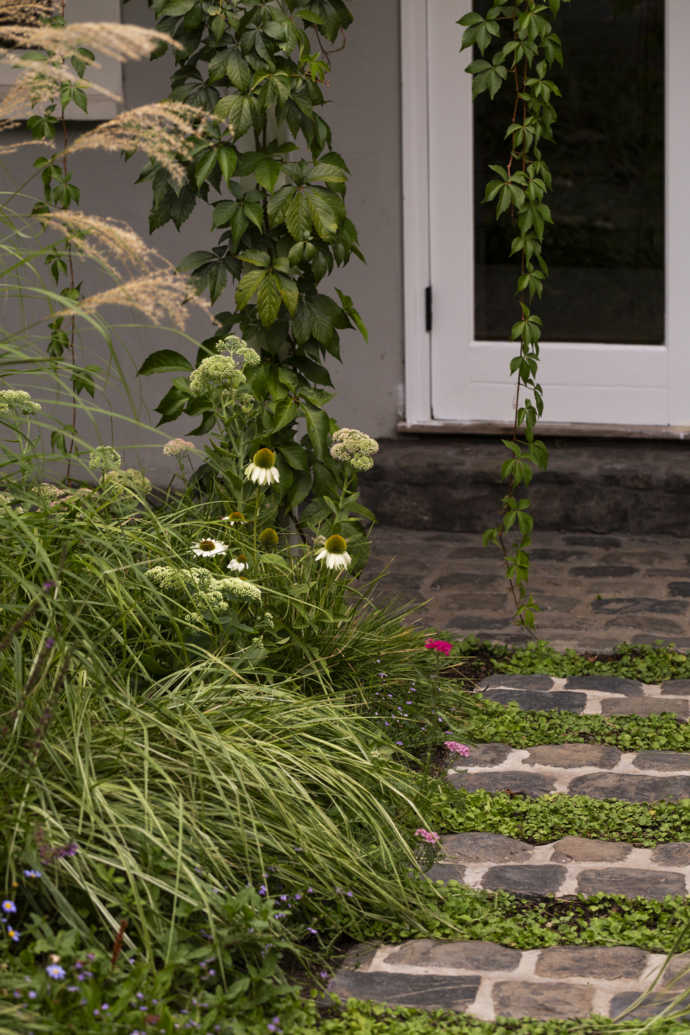 Saint Remy Thornbury Garden Saint Remy Thornbury Garden