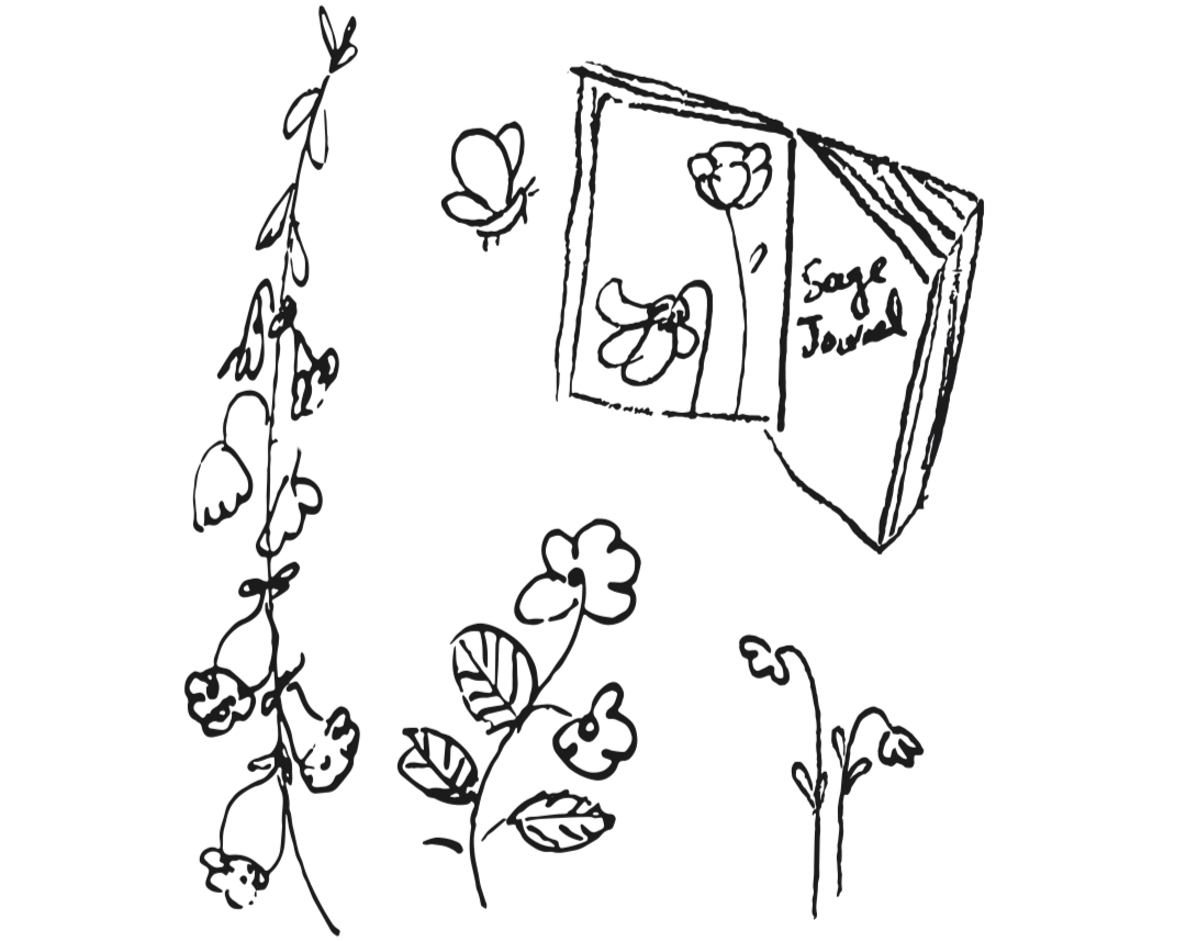 sage journal is going to print (1)