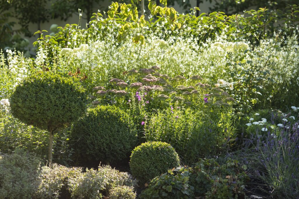 Henry Blakely Landscapes - Julia's Garden