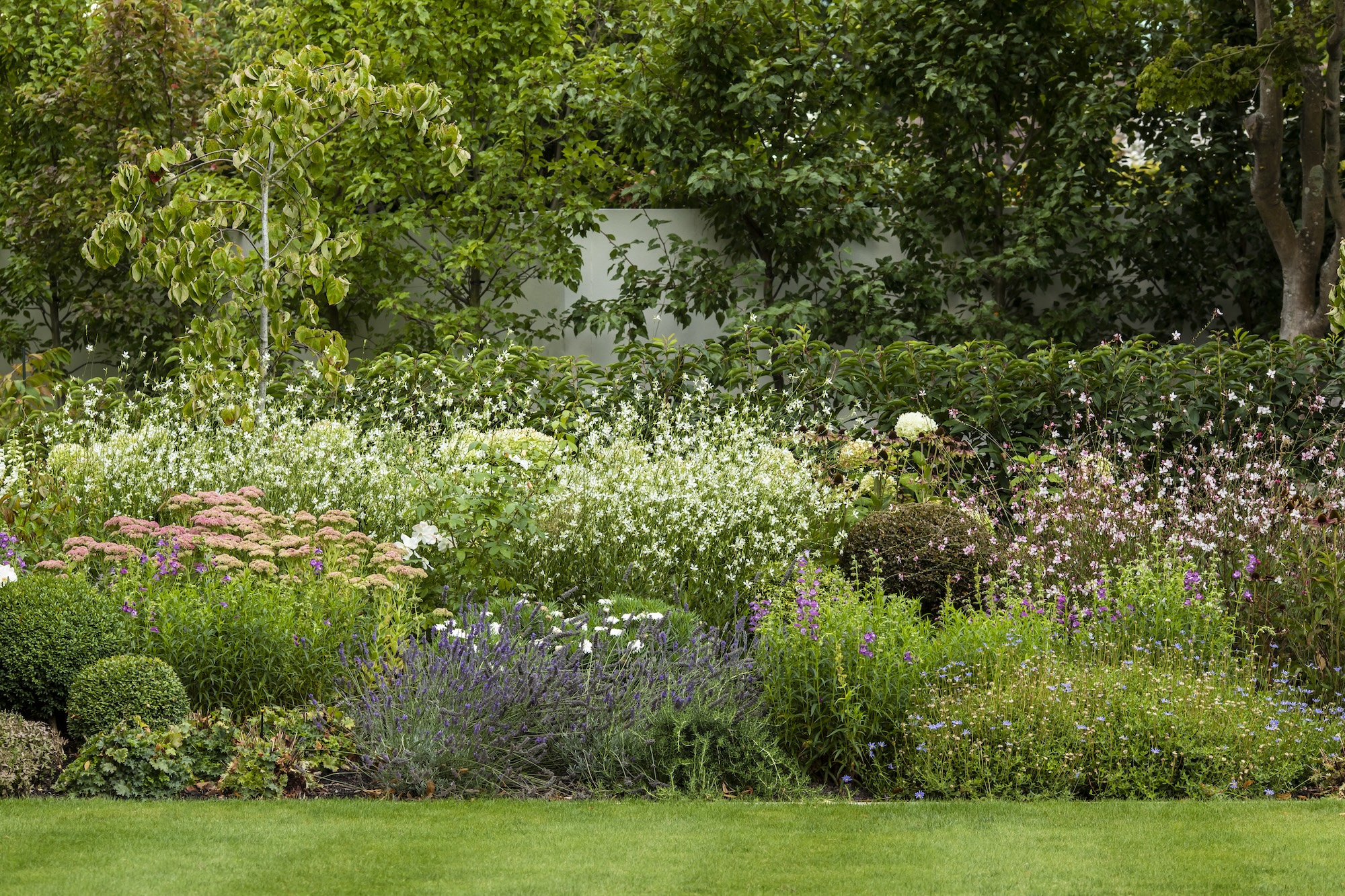 Henry Blakely Landscapes - Julia's Garden Henry Blakely Landscapes - Julia's Garden