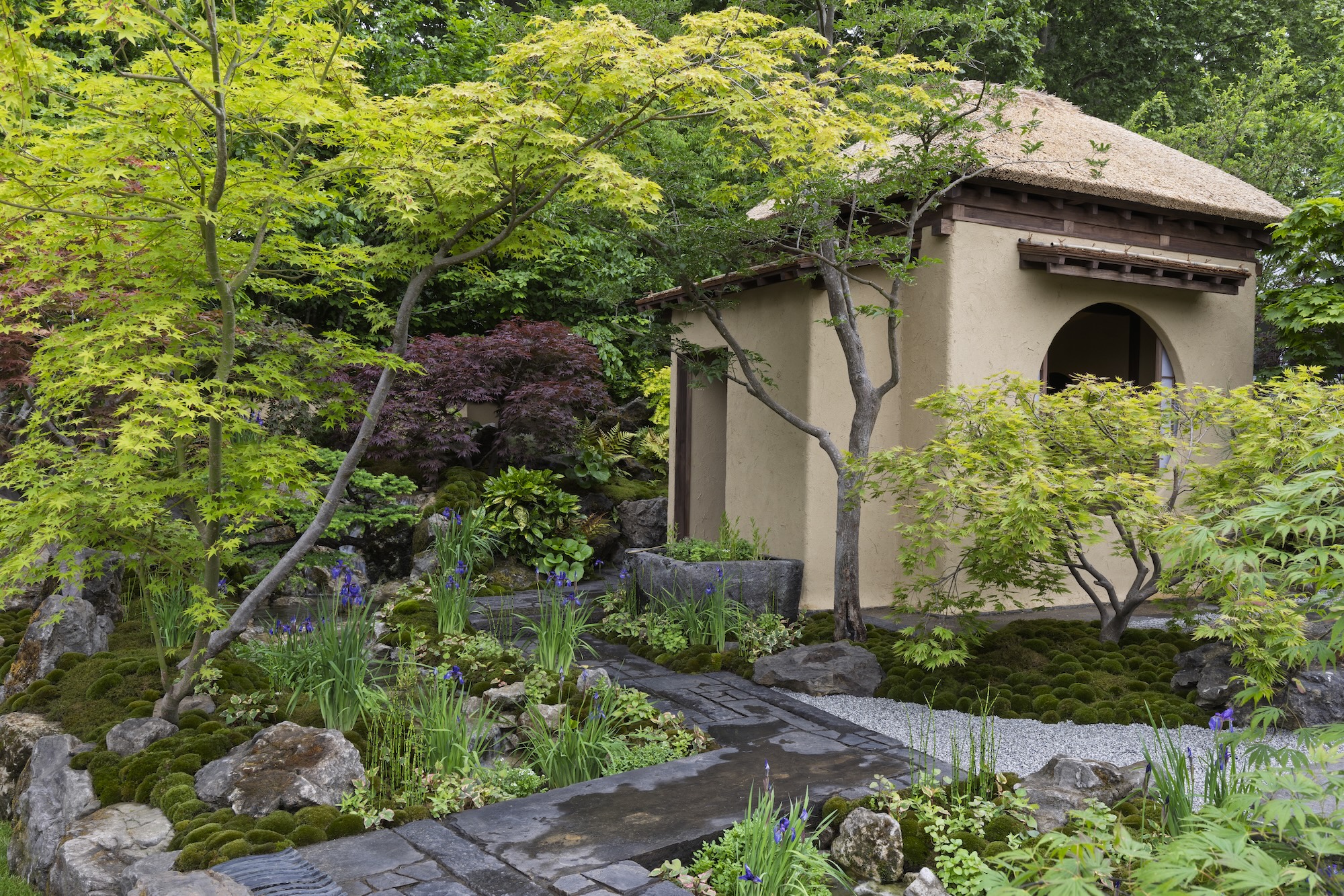 Traditional Japanese building framed by clipped shrubs and moss garden