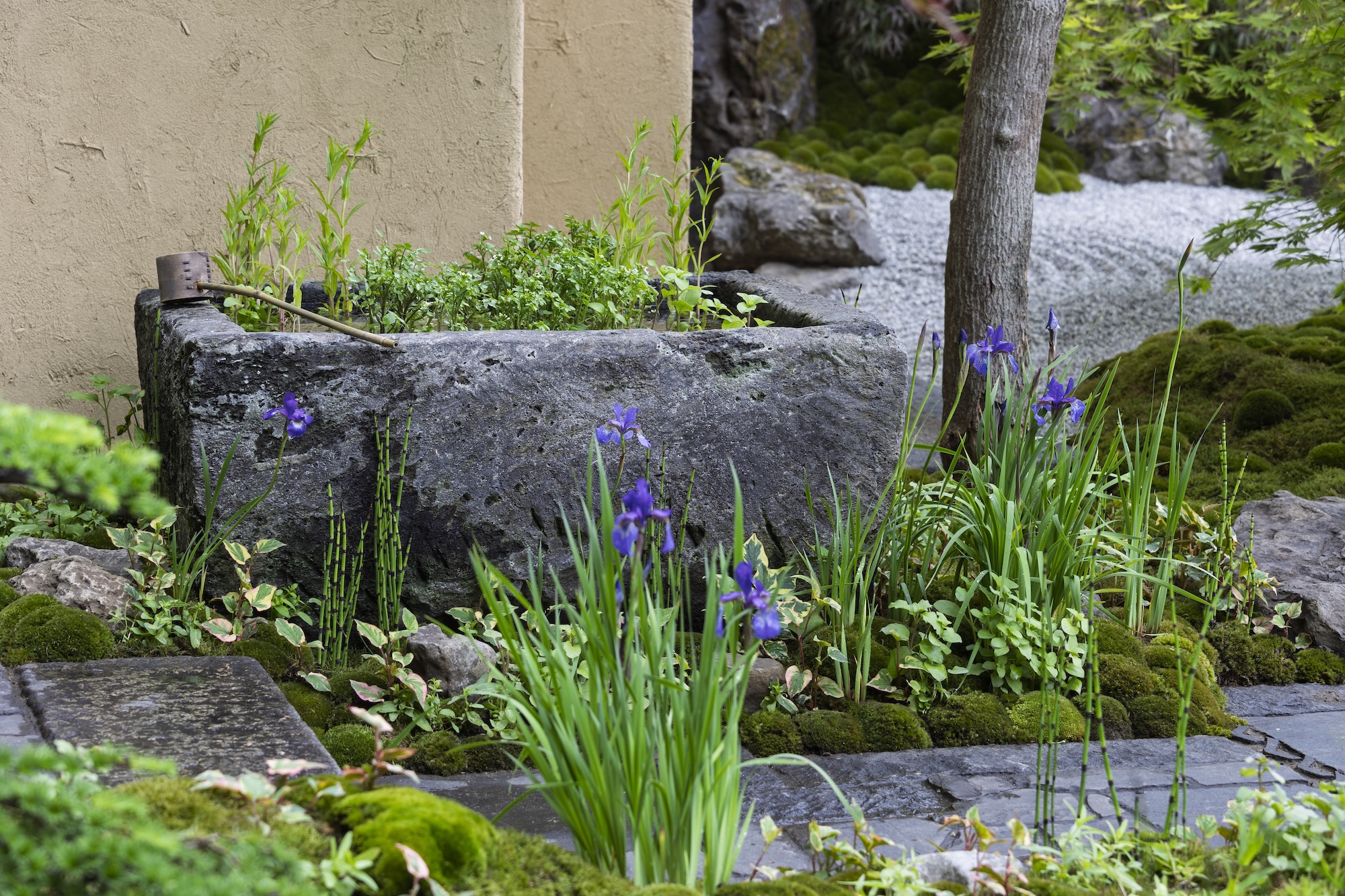 Green foliage and sculptural rocks around ornamental pond