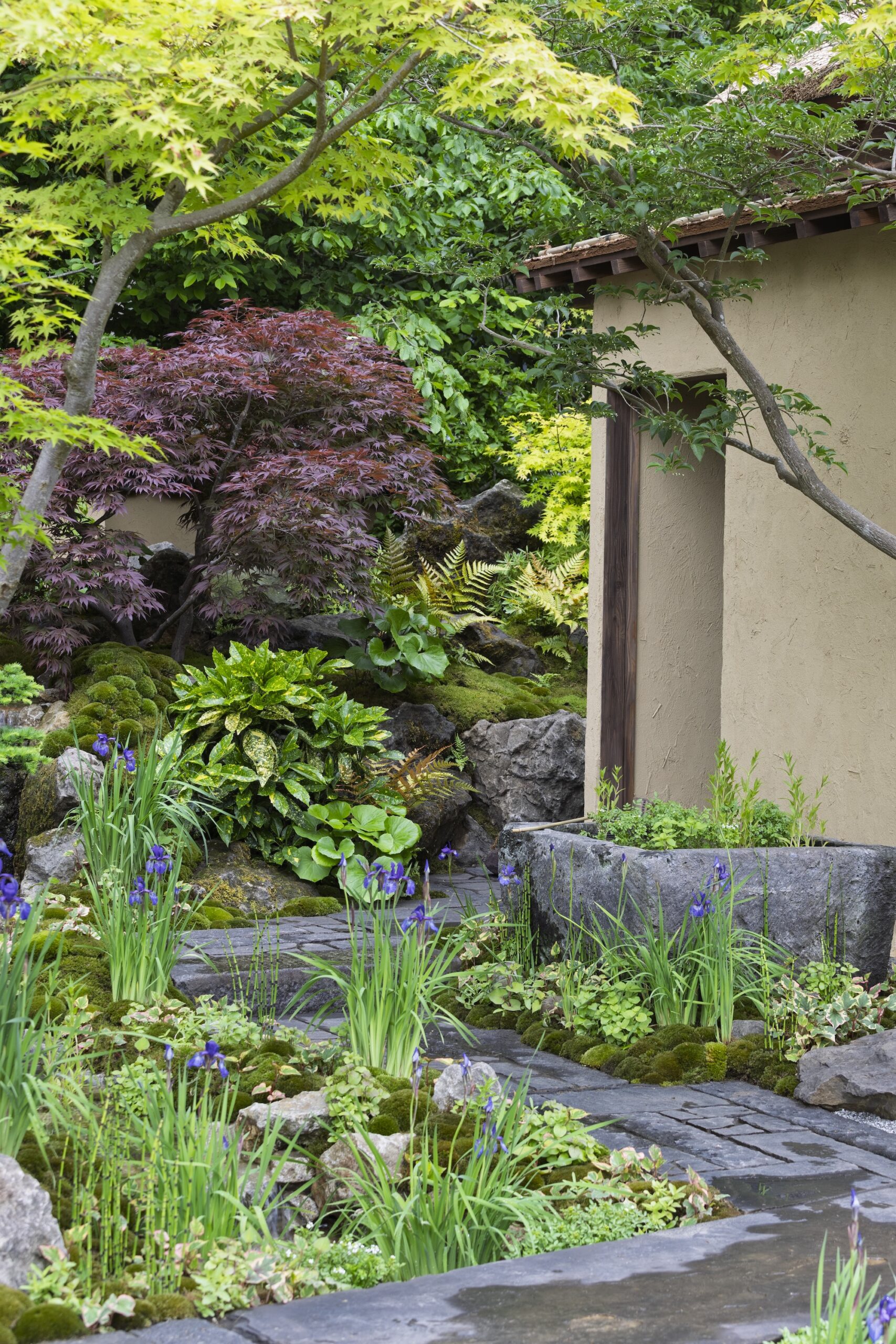 Curved stepping stones and layered planting beside garden pavilion