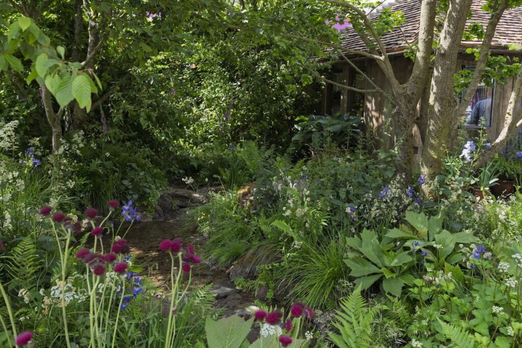 RHS and BBC Radio 2 Dog Garden. Designed by Monty Don. Show Feature. RHS Chelsea Flower Show 2025. Site no. 329