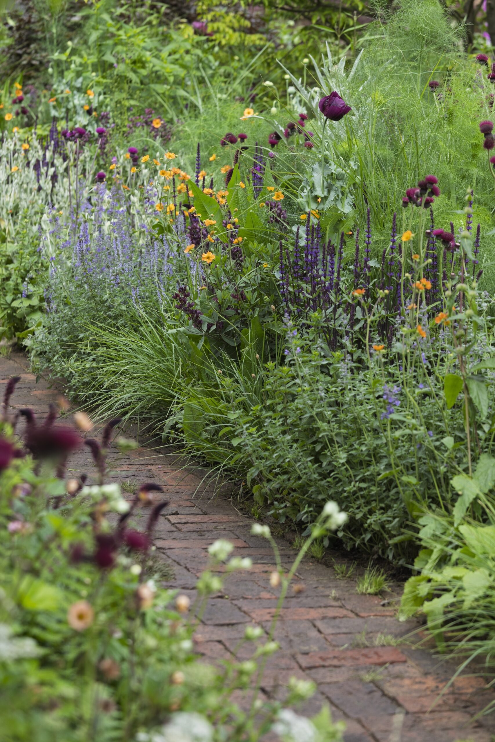 RHS and BBC Radio 2 Dog Garden. Designed by Monty Don. Show Feature. RHS Chelsea Flower Show 2025. Site no. 329