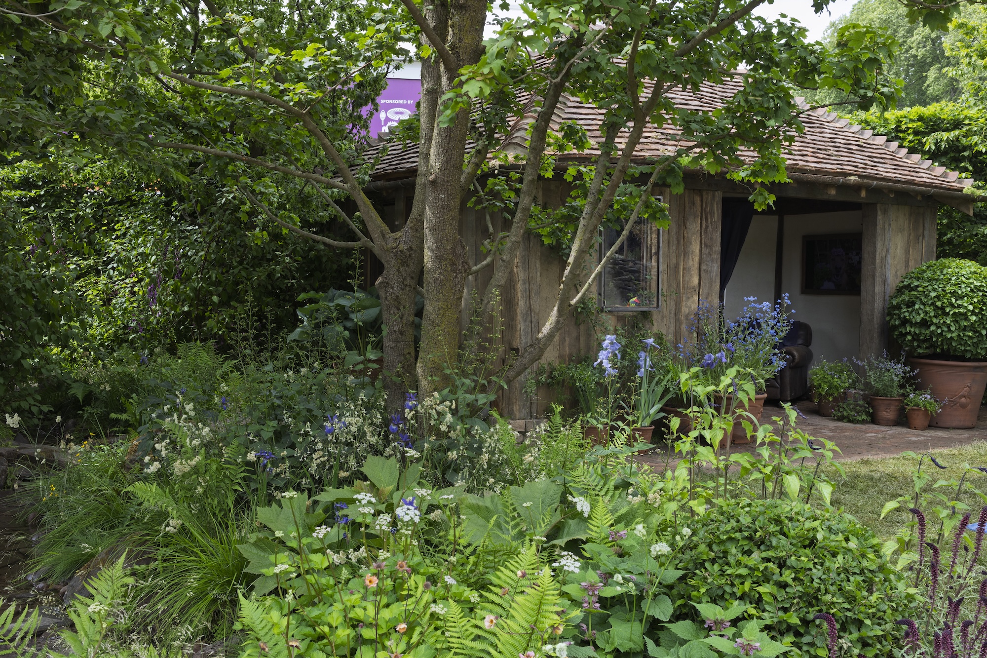 RHS CFS Dog Garden - Monty Don RHS and BBC Radio 2 Dog Garden. Designed by Monty Don. Show Feature. RHS Chelsea Flower Show 2025. Site no. 329