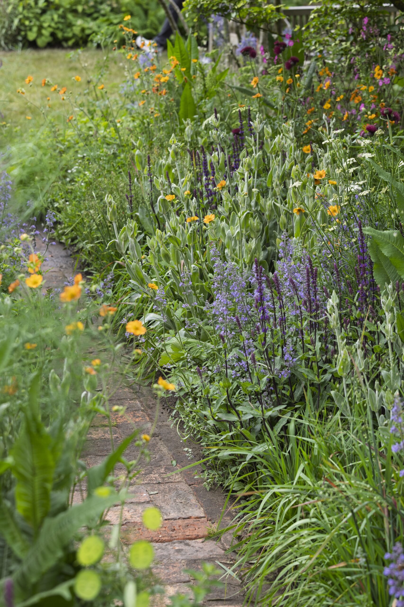 RHS CFS Dog Garden - Monty Don RHS and BBC Radio 2 Dog Garden. Designed by Monty Don. Show Feature. RHS Chelsea Flower Show 2025. Site no. 329