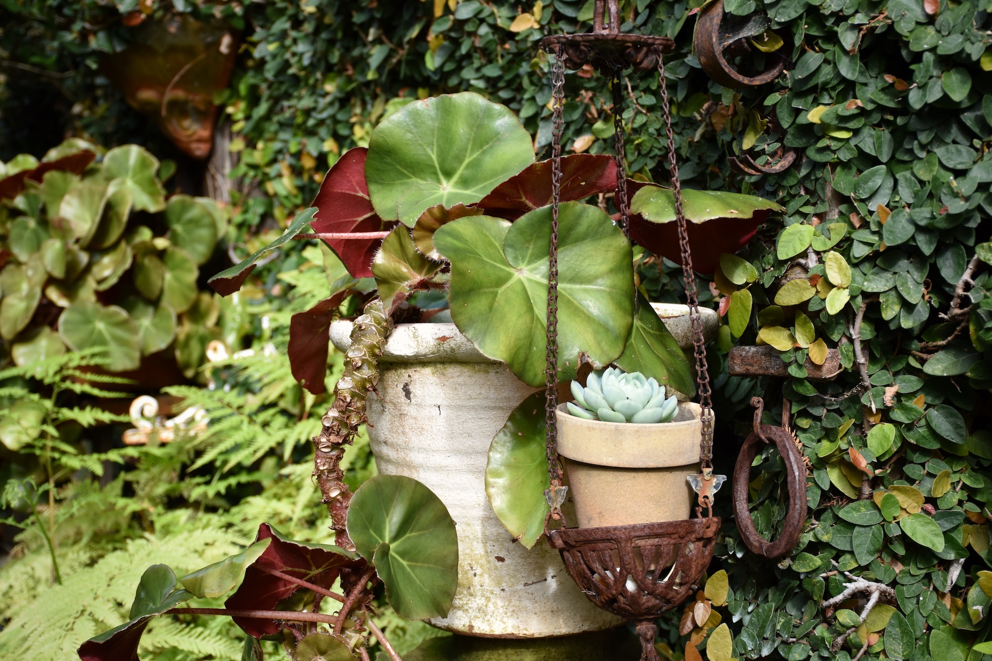 Wayne Webster, Whistling Green - Secret Garden X Sage Journal