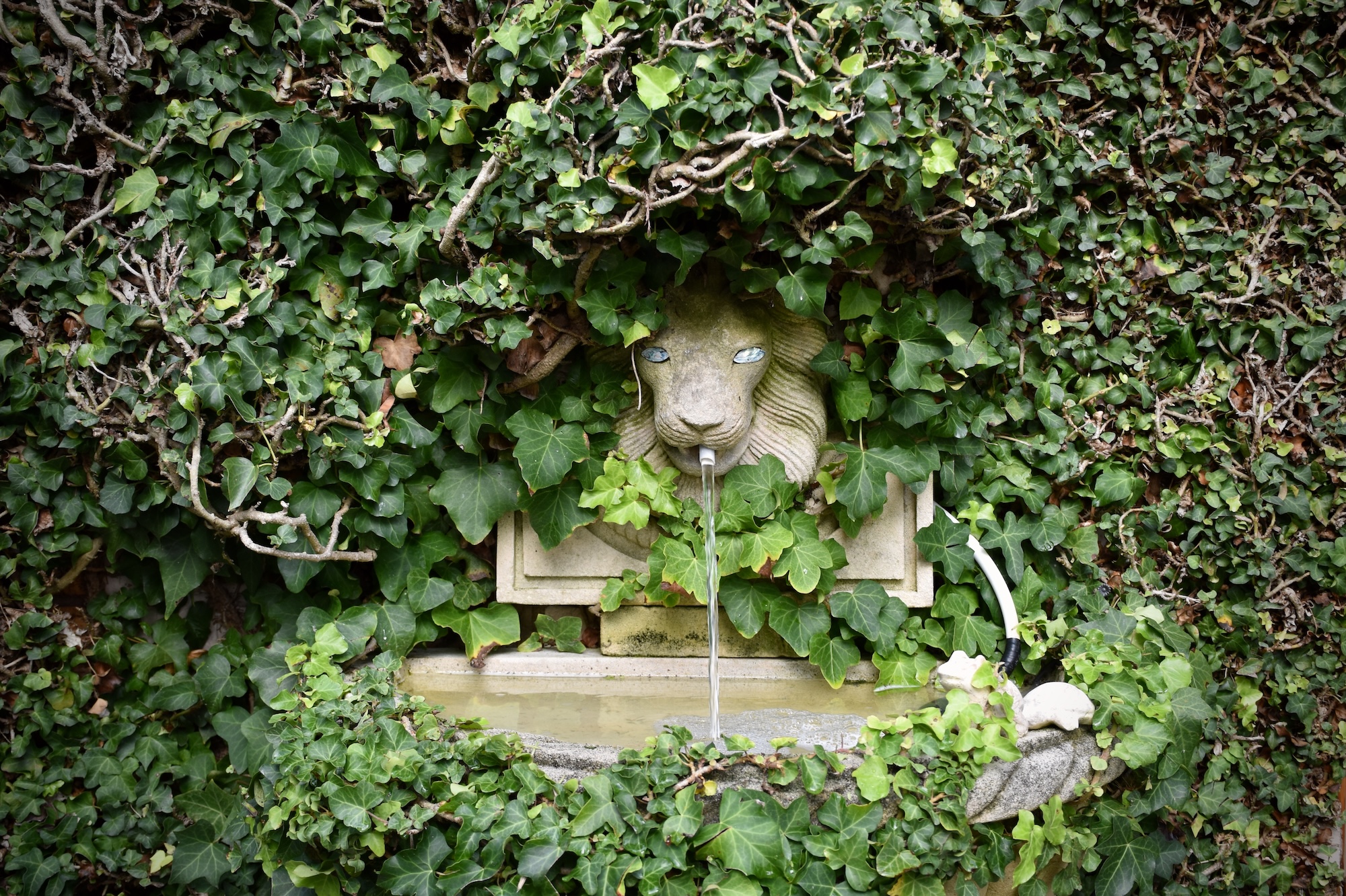 Wayne Webster, Whistling Green - Secret Garden X Sage Journal
