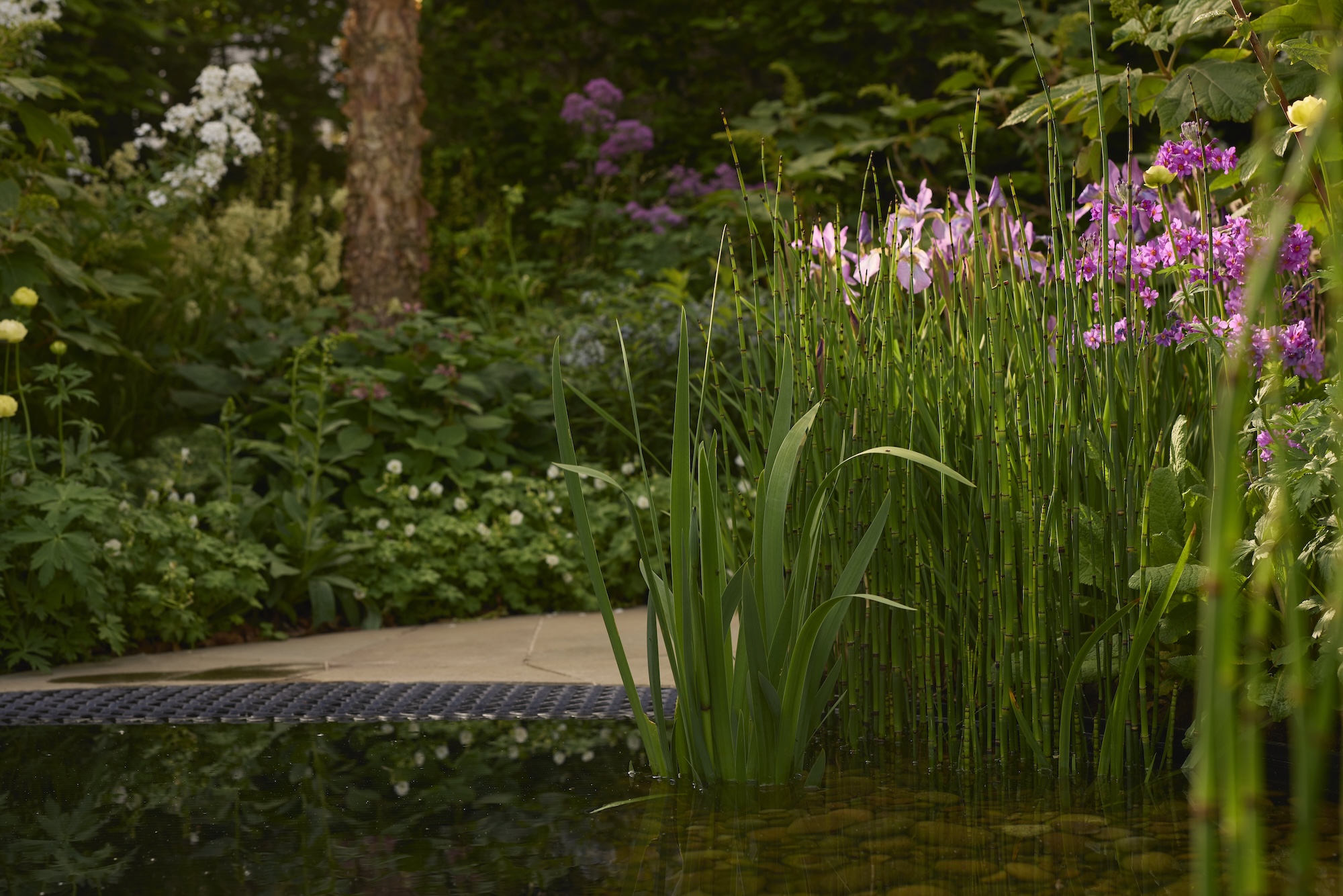 Down's syndrome Scotland Garden - Burton Hall Garden Design - Gary Morrisroe Down's syndrome Scotland Garden - Burton Hall Garden Design - Gary Morrisroe