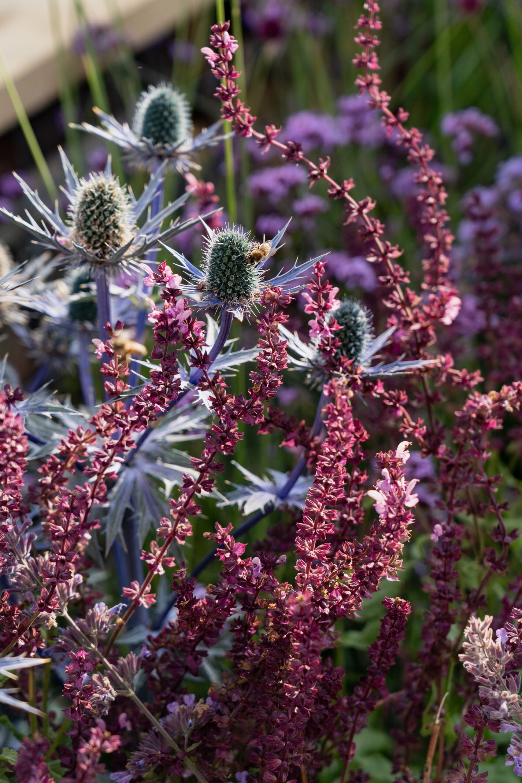 RHS Hampton Court Palace Garden Festival - Tone & Manner RHS Hampton Court Palace Garden Festival - Tone & Manner