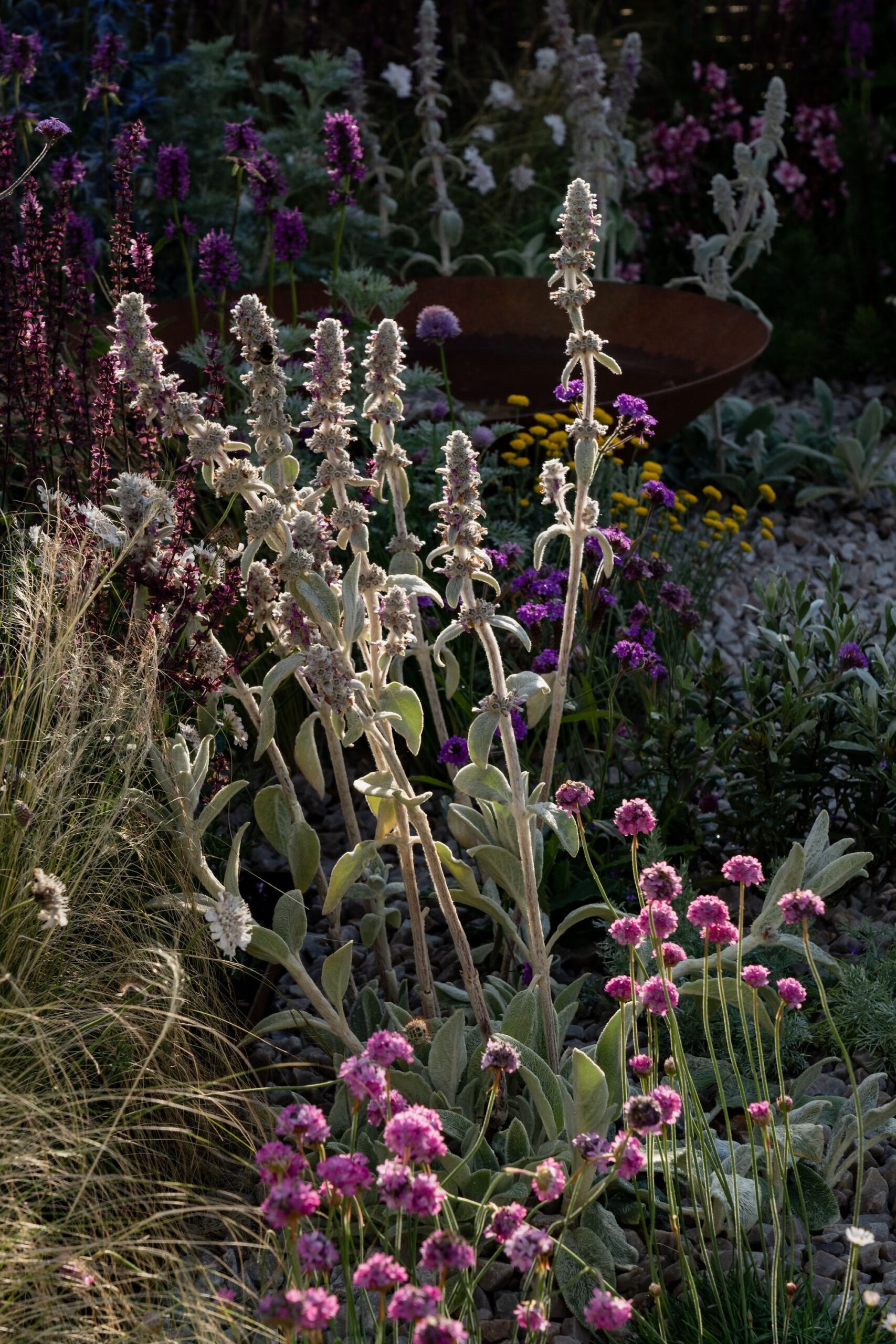 RHS Hampton Court Palace Garden Festival - Tone & Manner RHS Hampton Court Palace Garden Festival - Tone & Manner