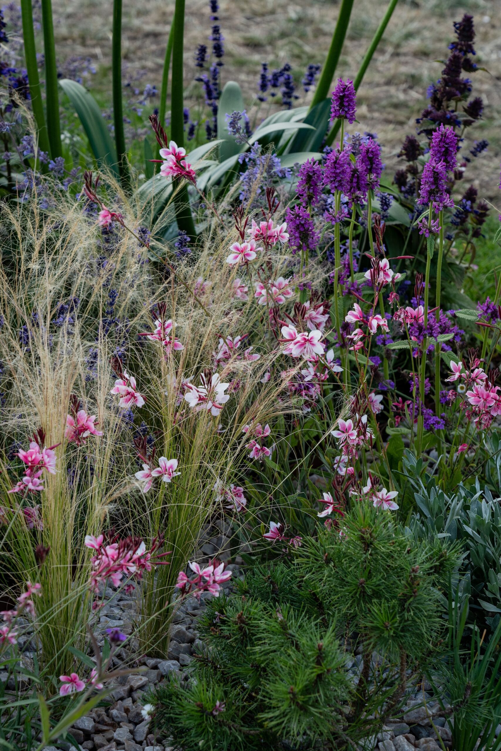RHS Hampton Court Palace Garden Festival - Tone & Manner RHS Hampton Court Palace Garden Festival - Tone & Manner