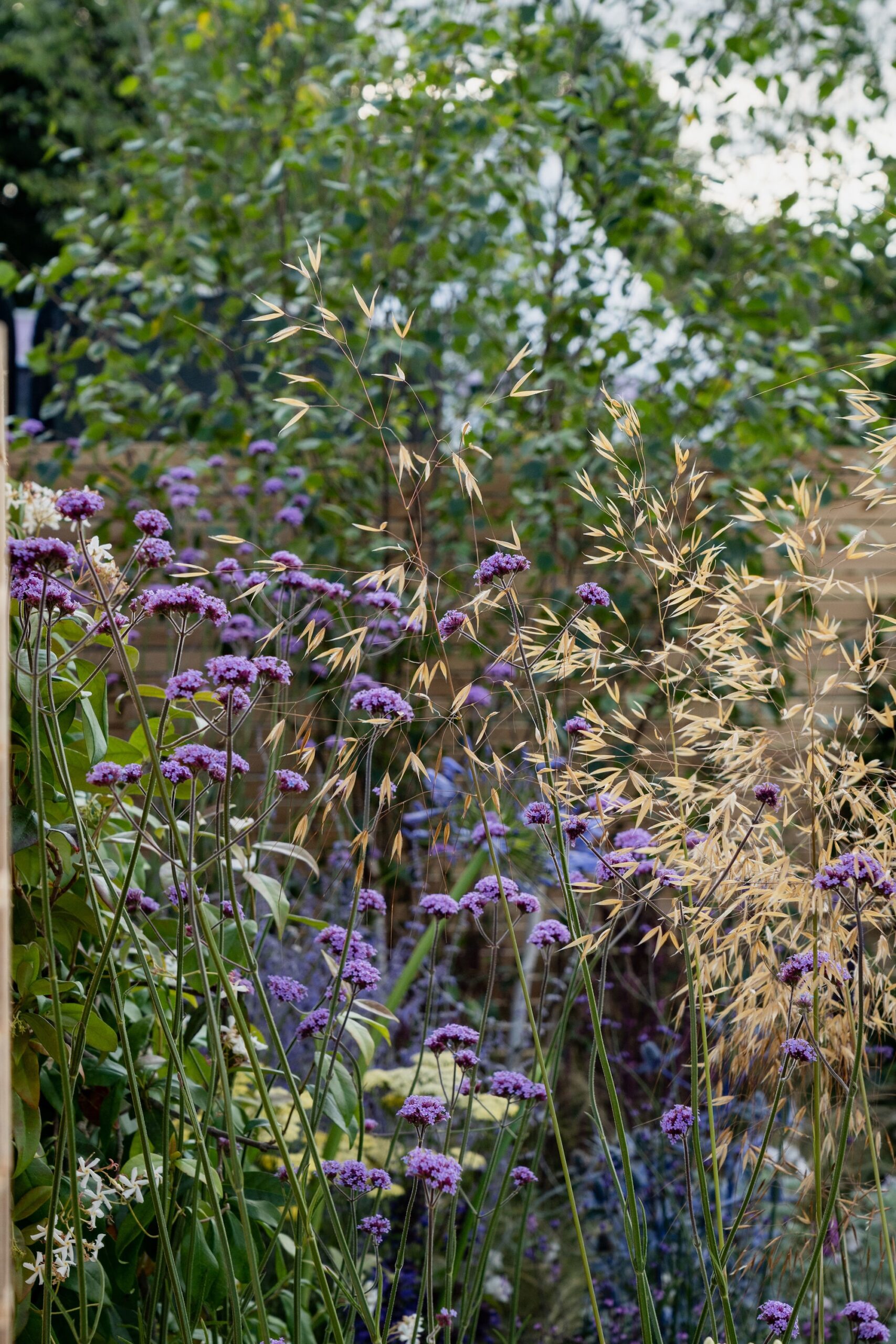 RHS Hampton Court Palace Garden Festival - Tone & Manner RHS Hampton Court Palace Garden Festival - Tone & Manner