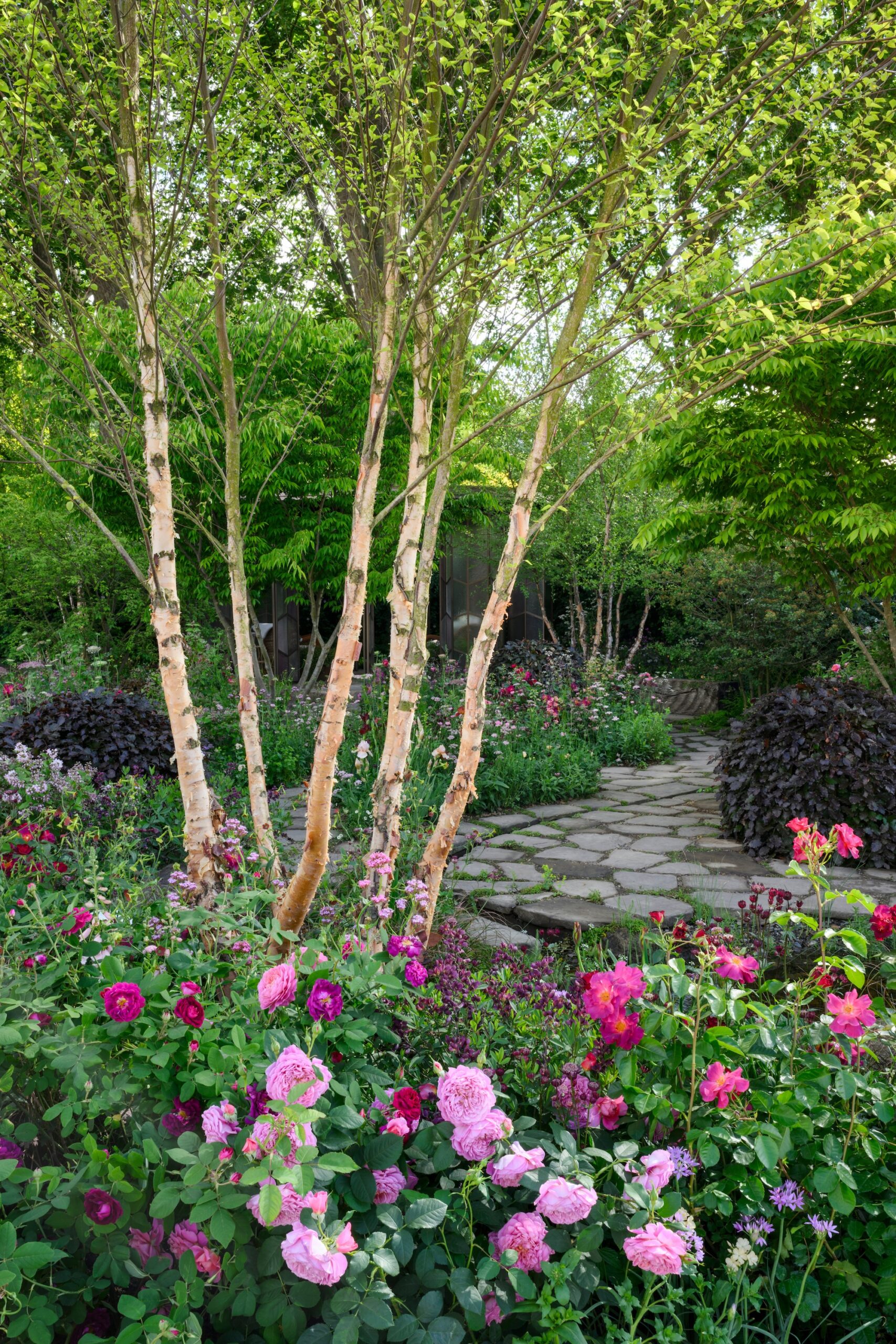 The Glasshouse Garden at RHS Chelsea Flower Show 2025 - Designed by Jo Thompson (17th - 18th May 2025) The Glasshouse Garden at RHS Chelsea Flower Show 2025 - Designed by Jo Thompson
