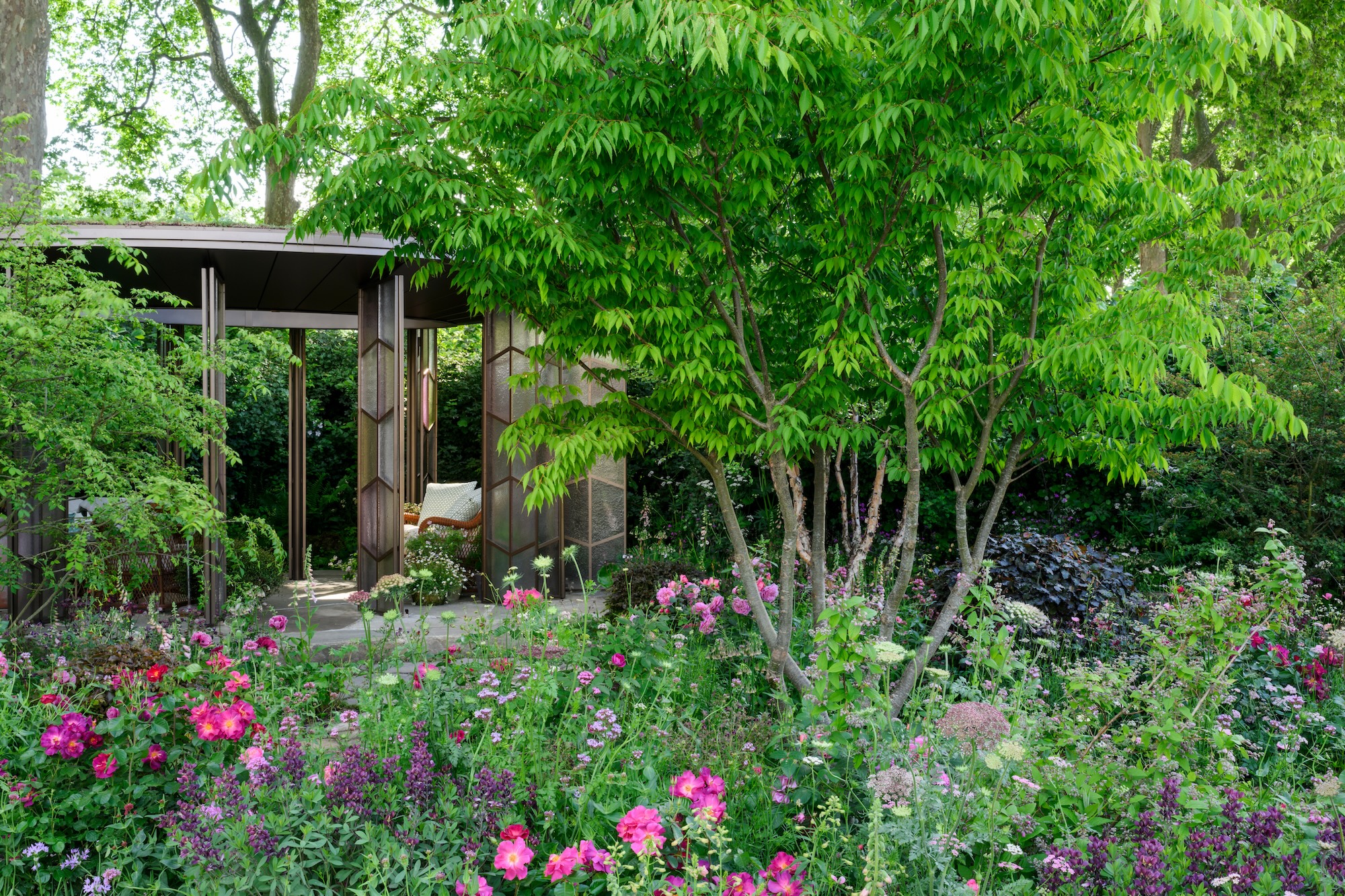 The Glasshouse Garden at RHS Chelsea Flower Show 2025 - Designed by Jo Thompson (17th - 18th May 2025) The Glasshouse Garden at RHS Chelsea Flower Show 2025 - Designed by Jo Thompson