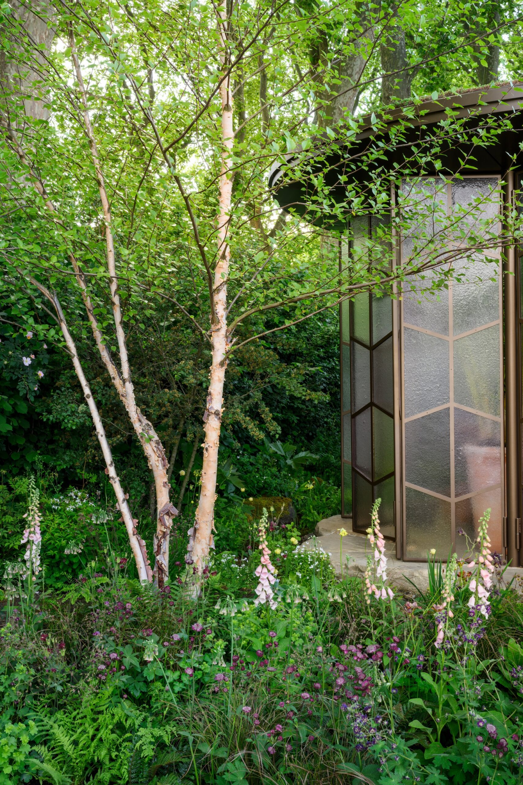 The Glasshouse Garden at RHS Chelsea Flower Show 2025 - Designed by Jo Thompson (17th - 18th May 2025) The Glasshouse Garden at RHS Chelsea Flower Show 2025 - Designed by Jo Thompson