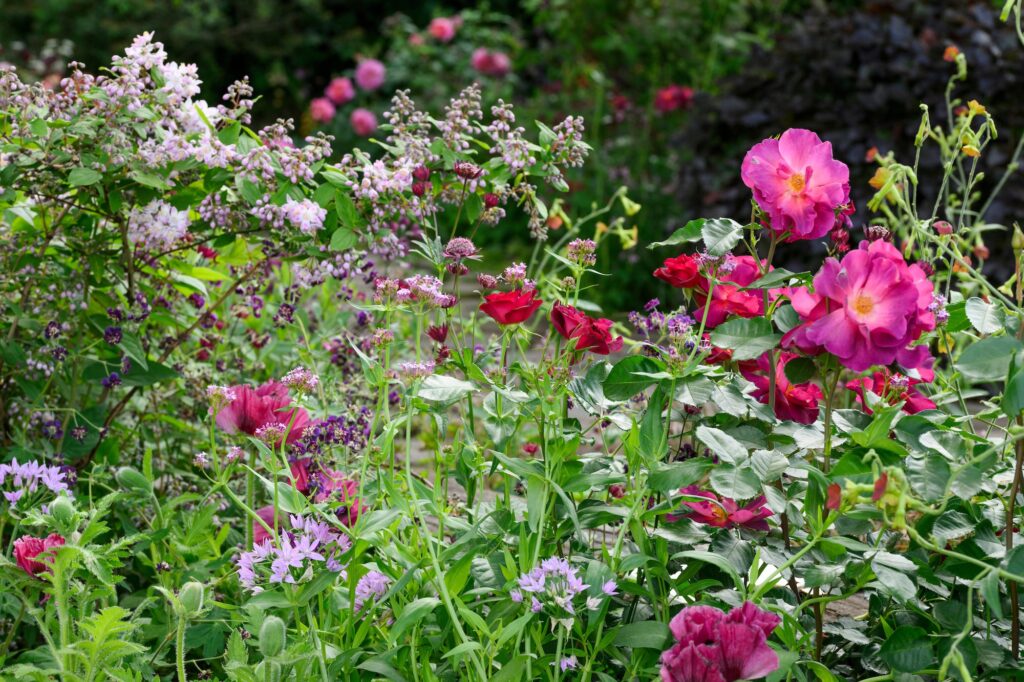 The Glasshouse Garden at RHS Chelsea Flower Show 2025 - Designed by Jo Thompson