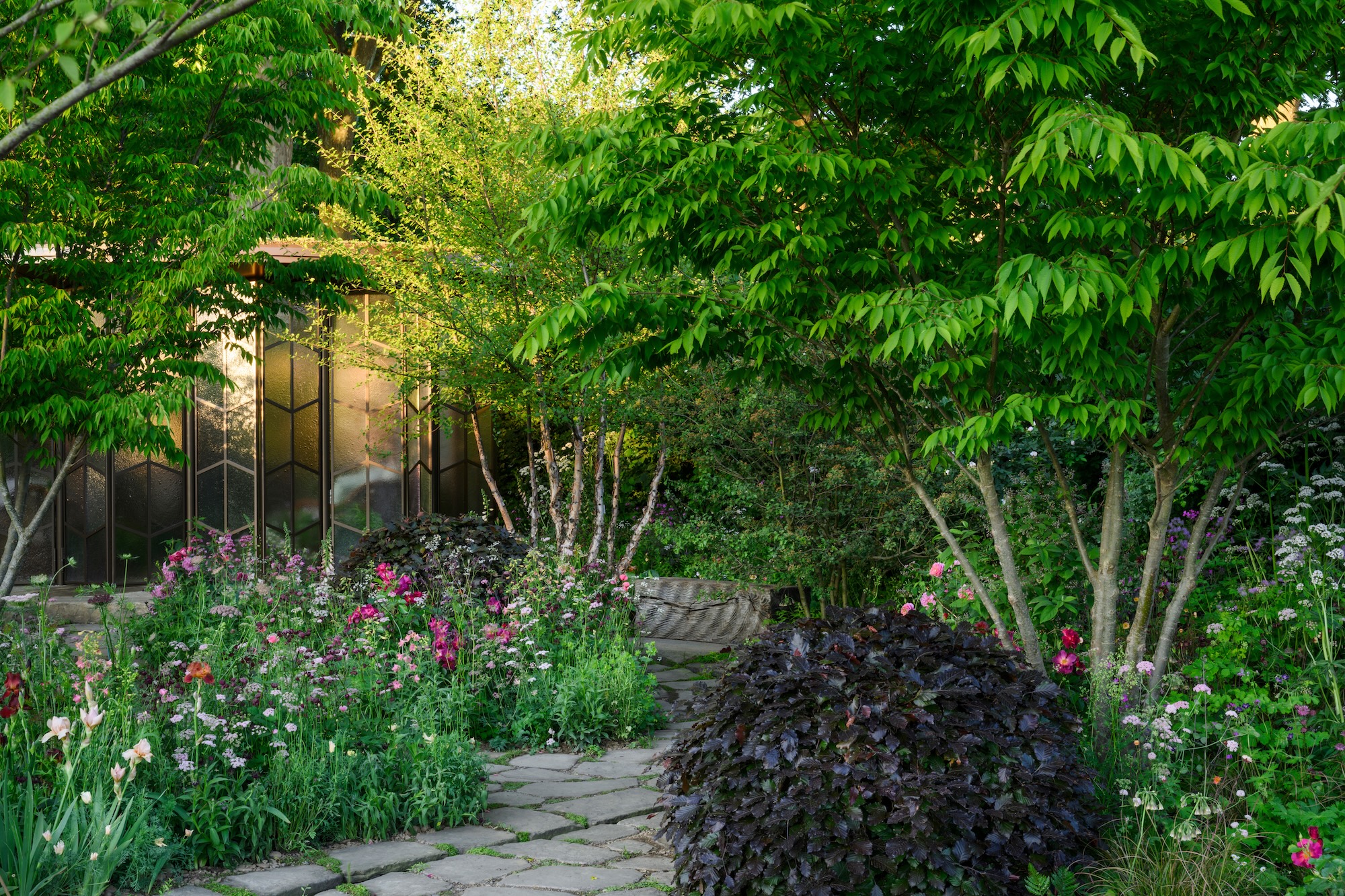 The Glasshouse Garden at RHS Chelsea Flower Show 2025 - Designed by Jo Thompson (17th - 18th May 2025) The Glasshouse Garden at RHS Chelsea Flower Show 2025 - Designed by Jo Thompson