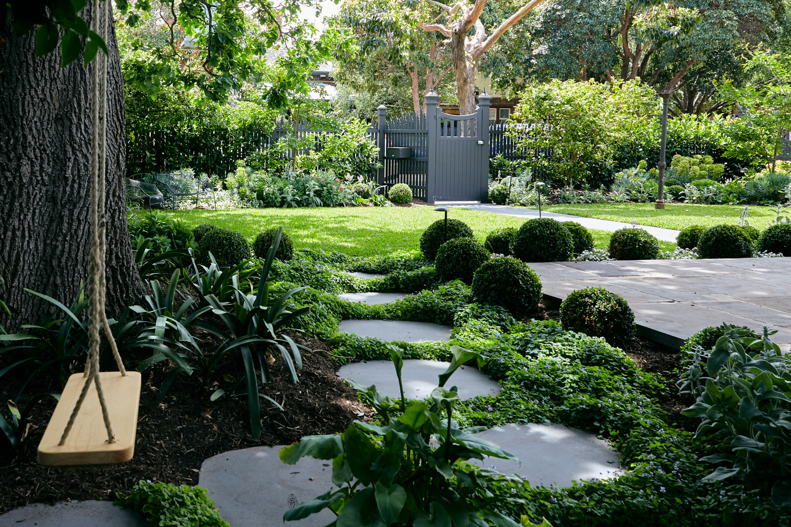 Modern garden pathway framed by layered hedging and textured greenery