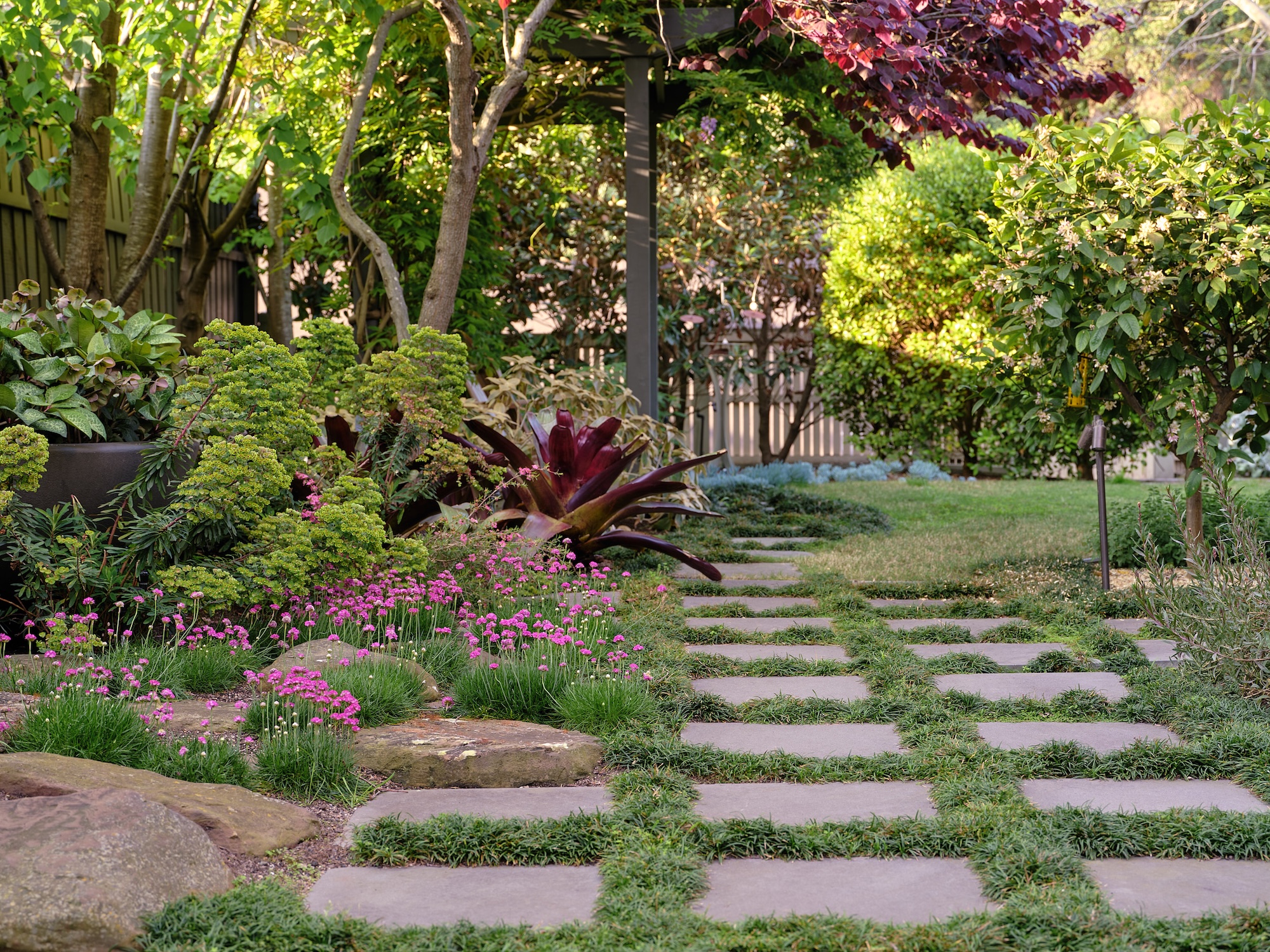 Caroline Hyett X Sage Journal - Queen Anne Garden
