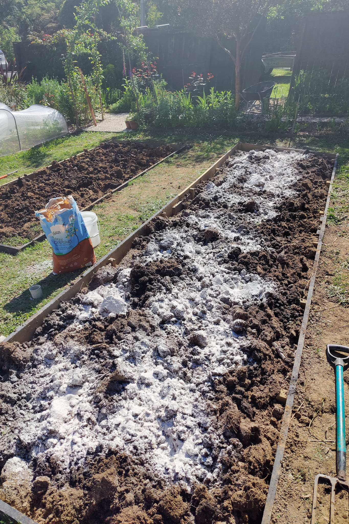 Adding gypsum to improve clay soil in new garden bed