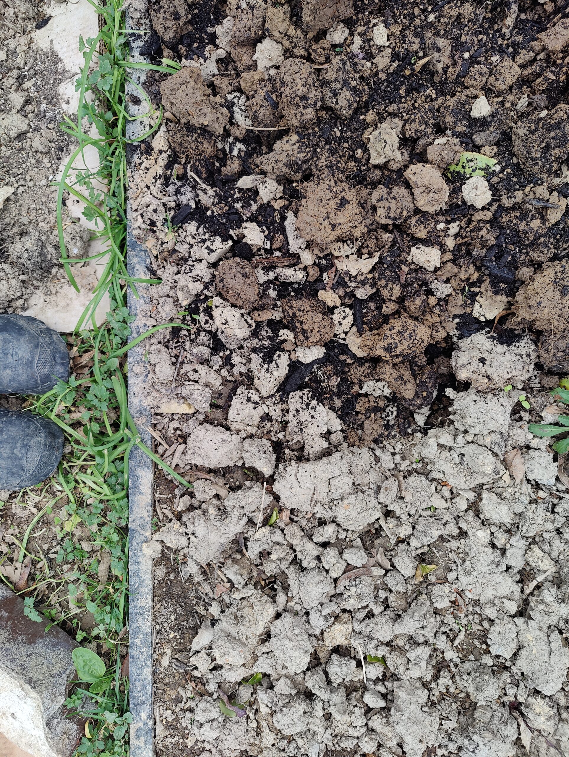 Compost helps to improve poor soil by adding organic matter