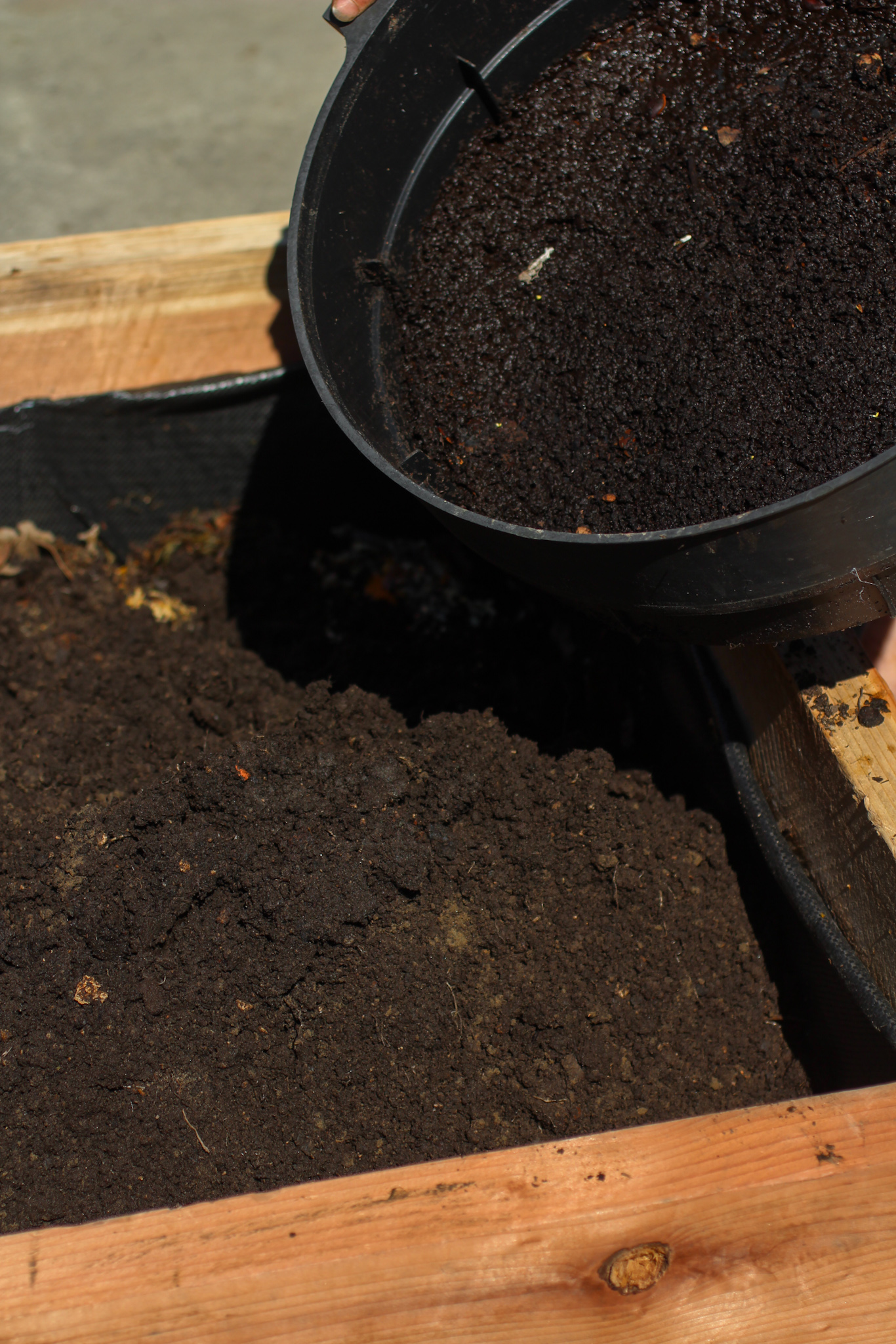 Compost is very dense and should be mixed with a top soil when using in a raised bed