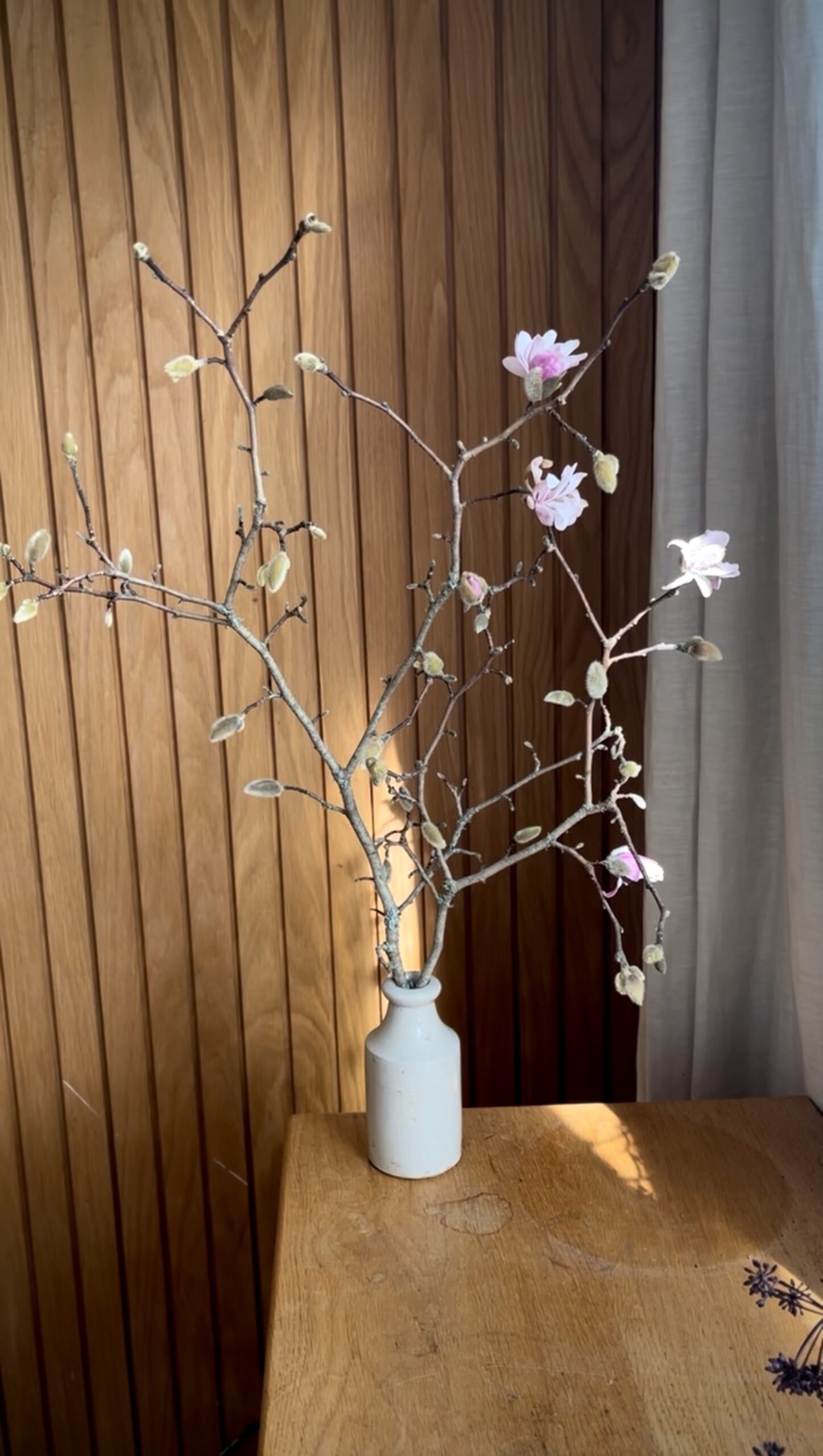 Spring Magnolia Branch Display Decorative magnolia branches in bloom arranged in a minimalist white vase against a wood-paneled wall