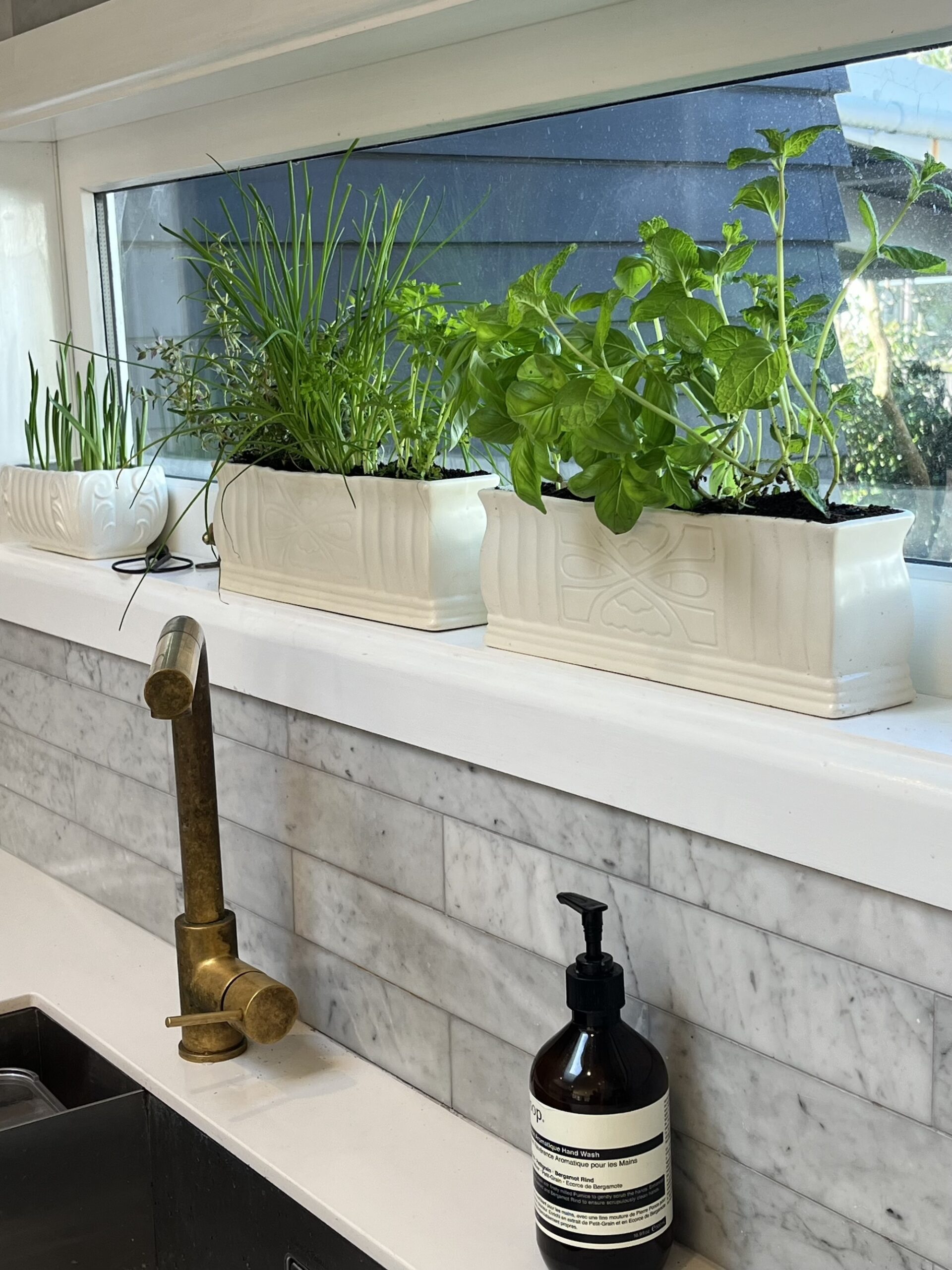 Lush herb garden growing in rectangular planters on a bright kitchen windowsill.