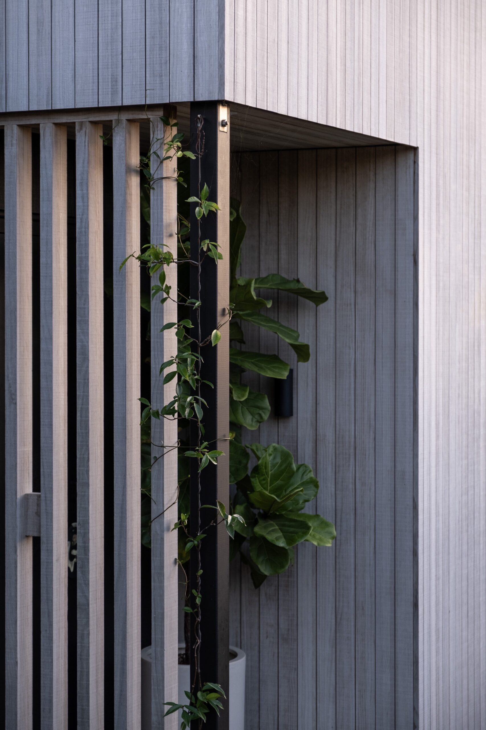Vertical slatted wall with a planter integrated into the entry