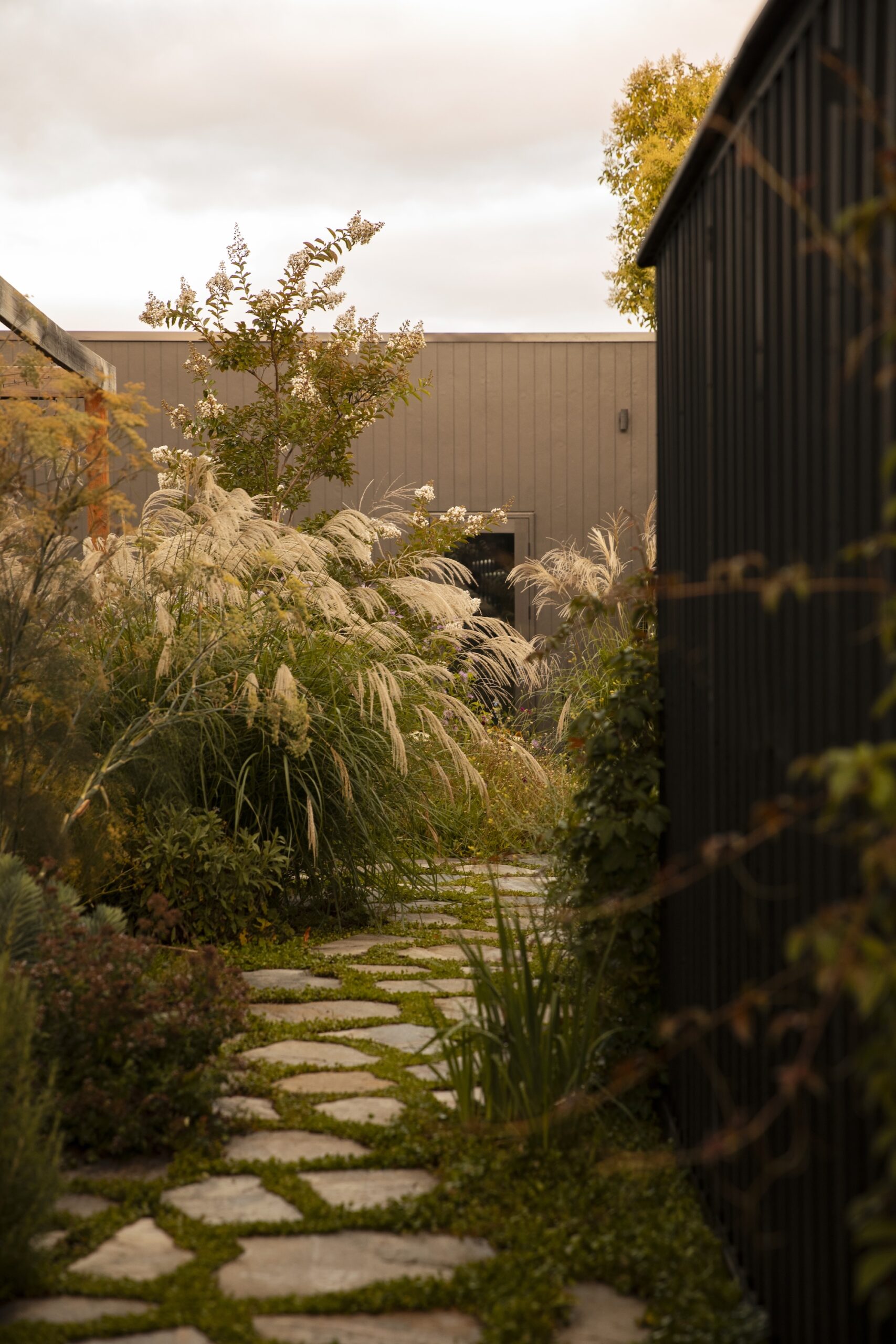Andy Murray Landscape Design X Sage Journal - Preston