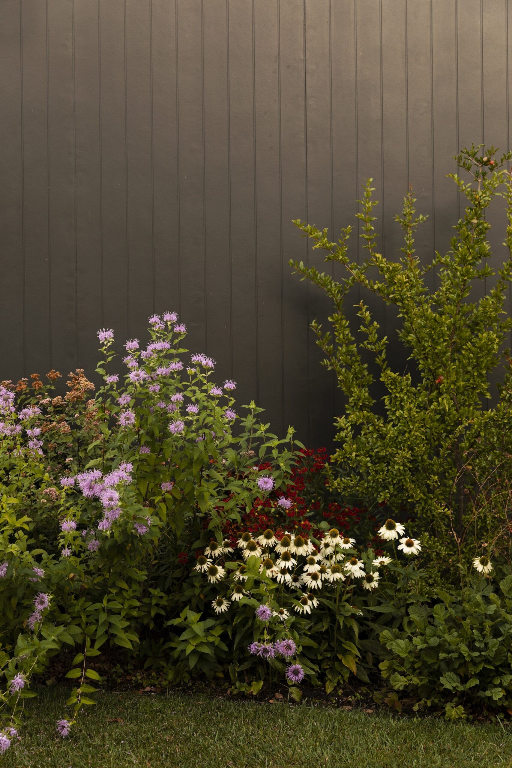 Andy Murray Landscape Design X Sage Journal - Preston