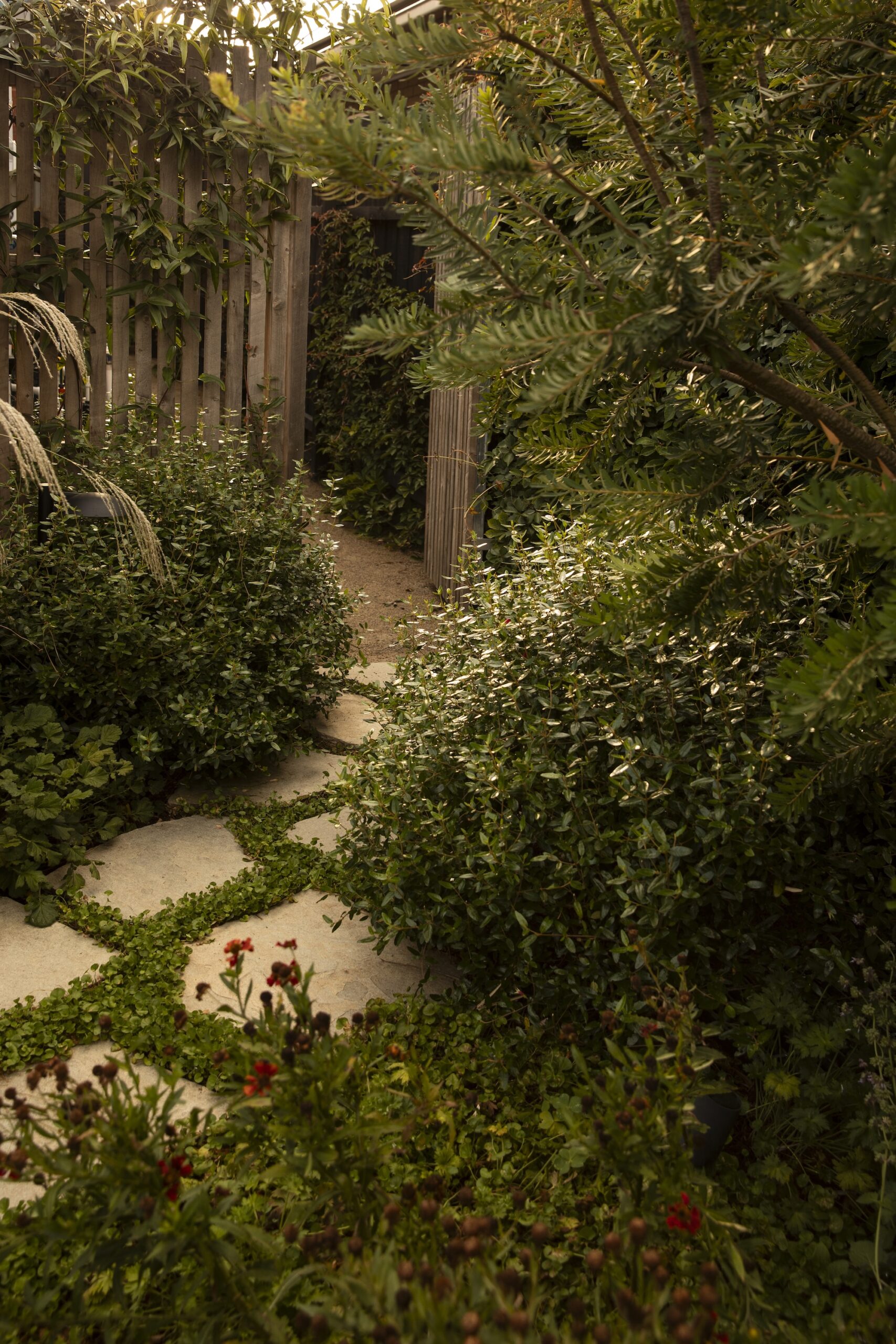 Andy Murray Landscape Design X Sage Journal - Preston